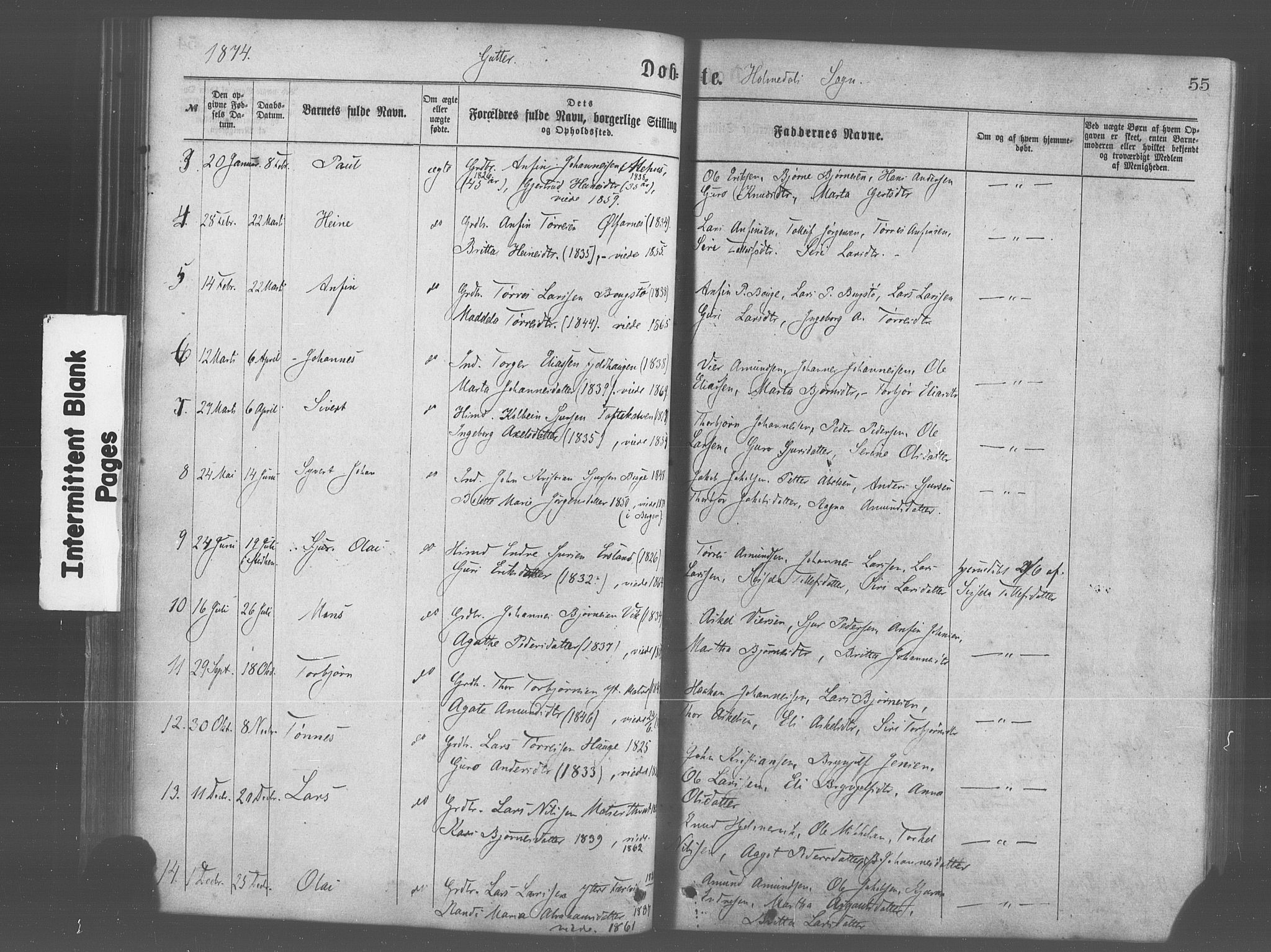 Skånevik sokneprestembete, AV/SAB-A-77801/H/Haa: Parish register (official) no. A 6, 1869-1878, p. 55