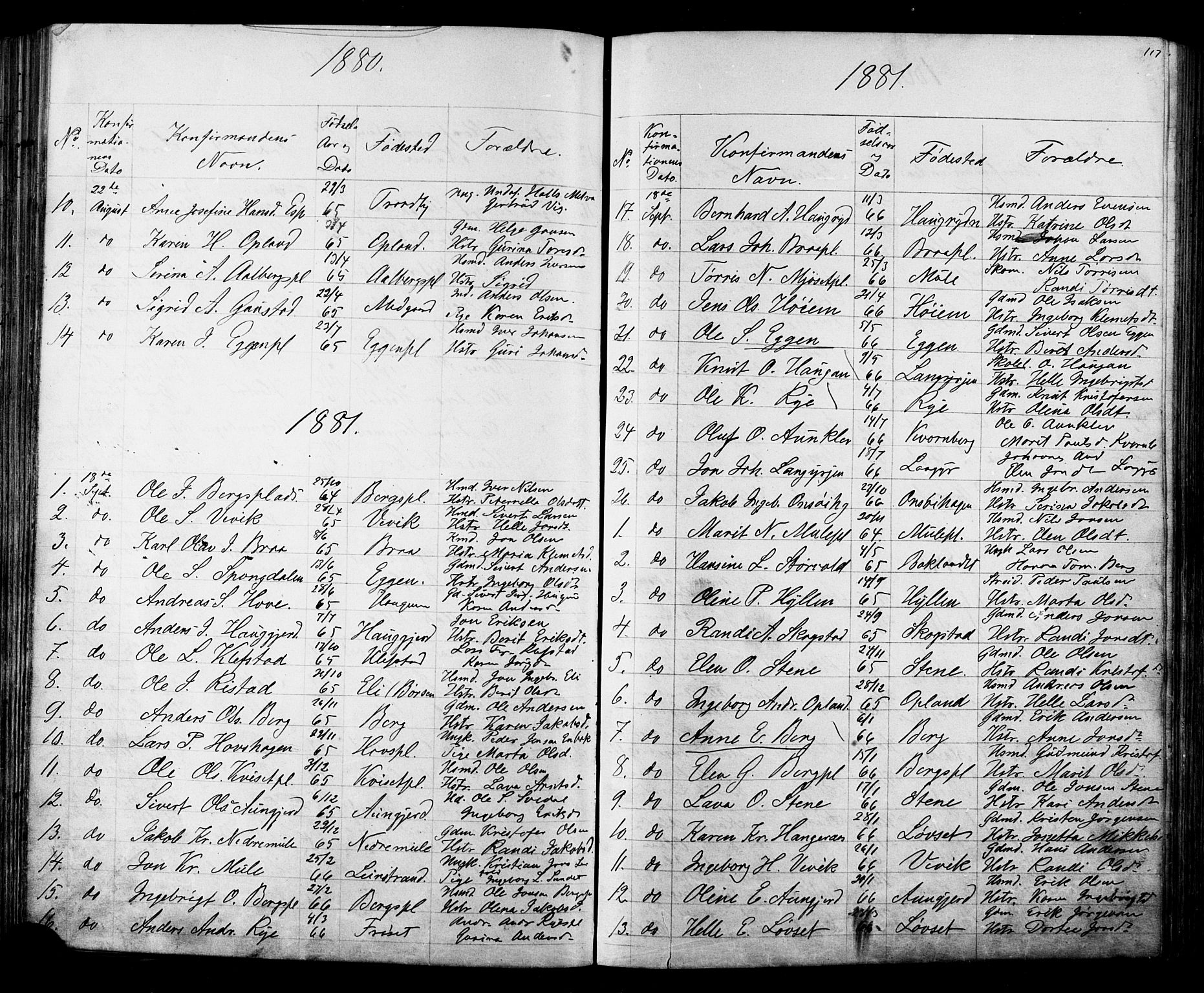 Ministerialprotokoller, klokkerbøker og fødselsregistre - Sør-Trøndelag, SAT/A-1456/612/L0387: Parish register (copy) no. 612C03, 1874-1908, p. 117