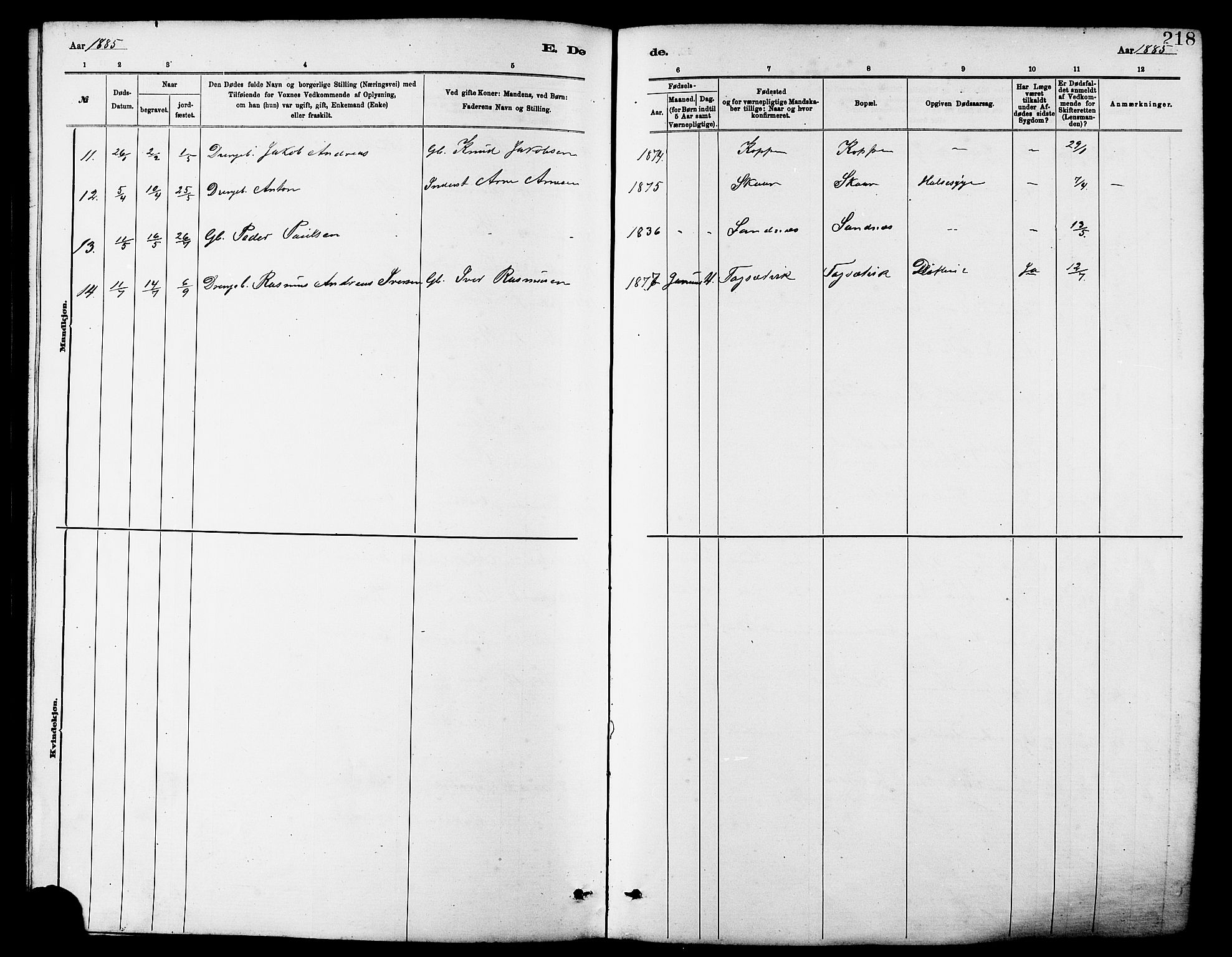 Ministerialprotokoller, klokkerbøker og fødselsregistre - Møre og Romsdal, AV/SAT-A-1454/502/L0027: Parish register (copy) no. 502C01, 1878-1908, p. 218