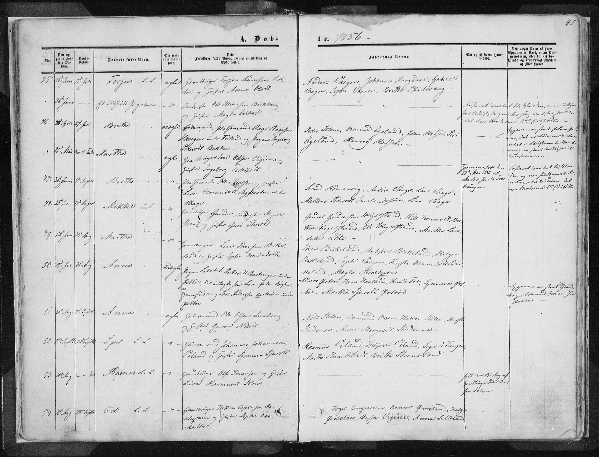 Vikedal sokneprestkontor, AV/SAST-A-101840/01/IV: Parish register (official) no. A 6.1, 1851-1867, p. 45