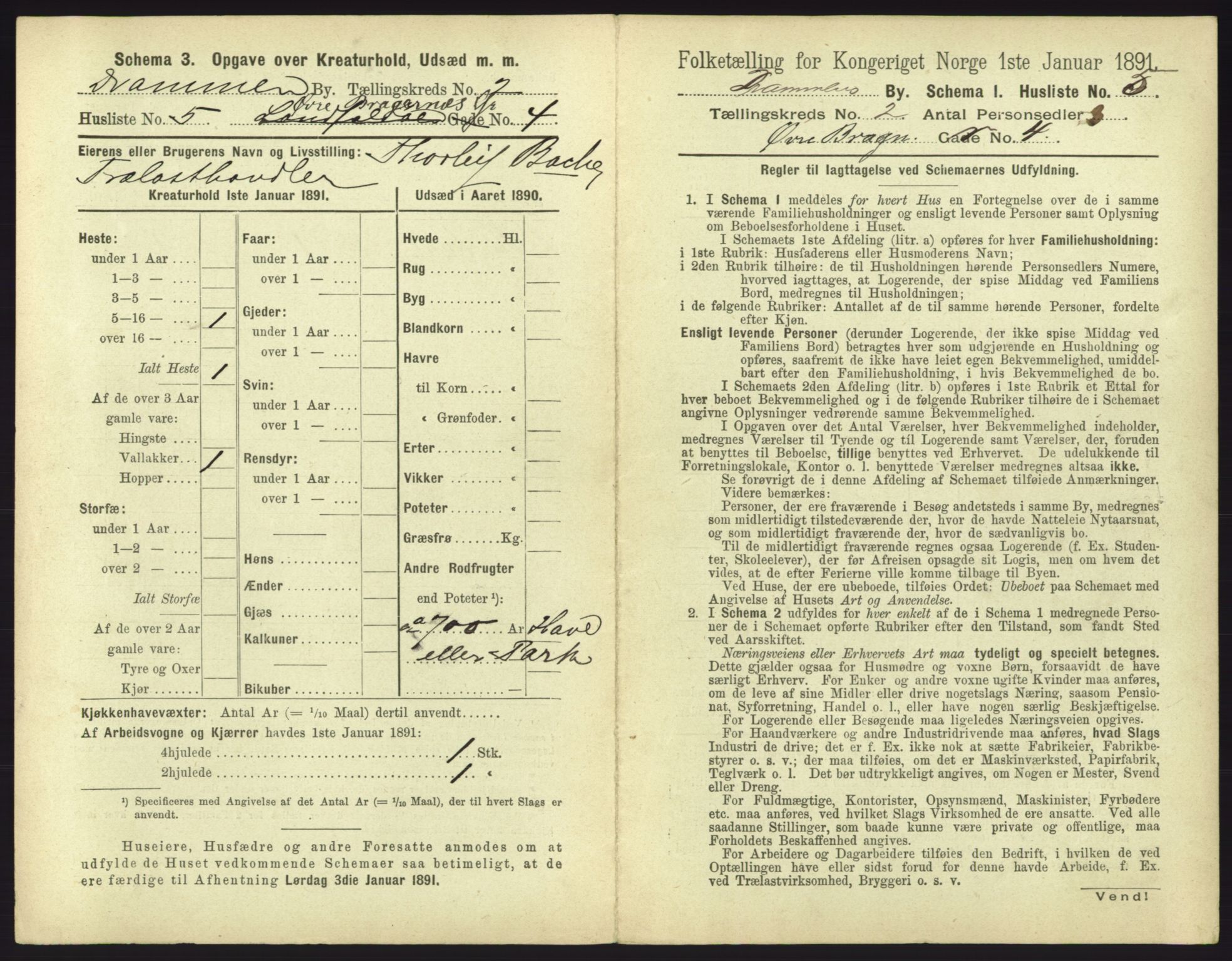 RA, 1891 census for 0602 Drammen, 1891, p. 209