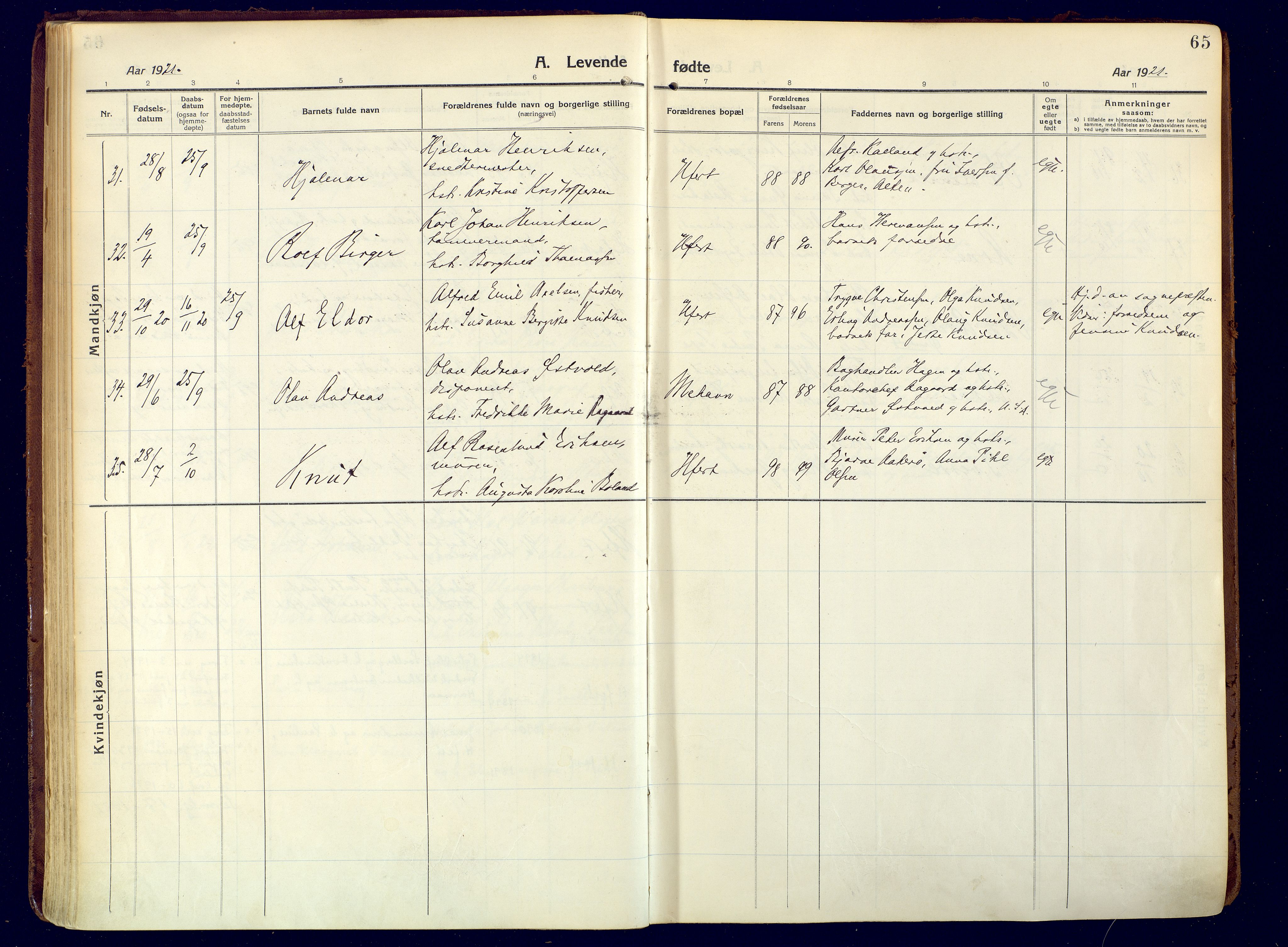 Hammerfest sokneprestkontor, SATØ/S-1347/H/Ha/L0015.kirke: Parish register (official) no. 15, 1916-1923, p. 65