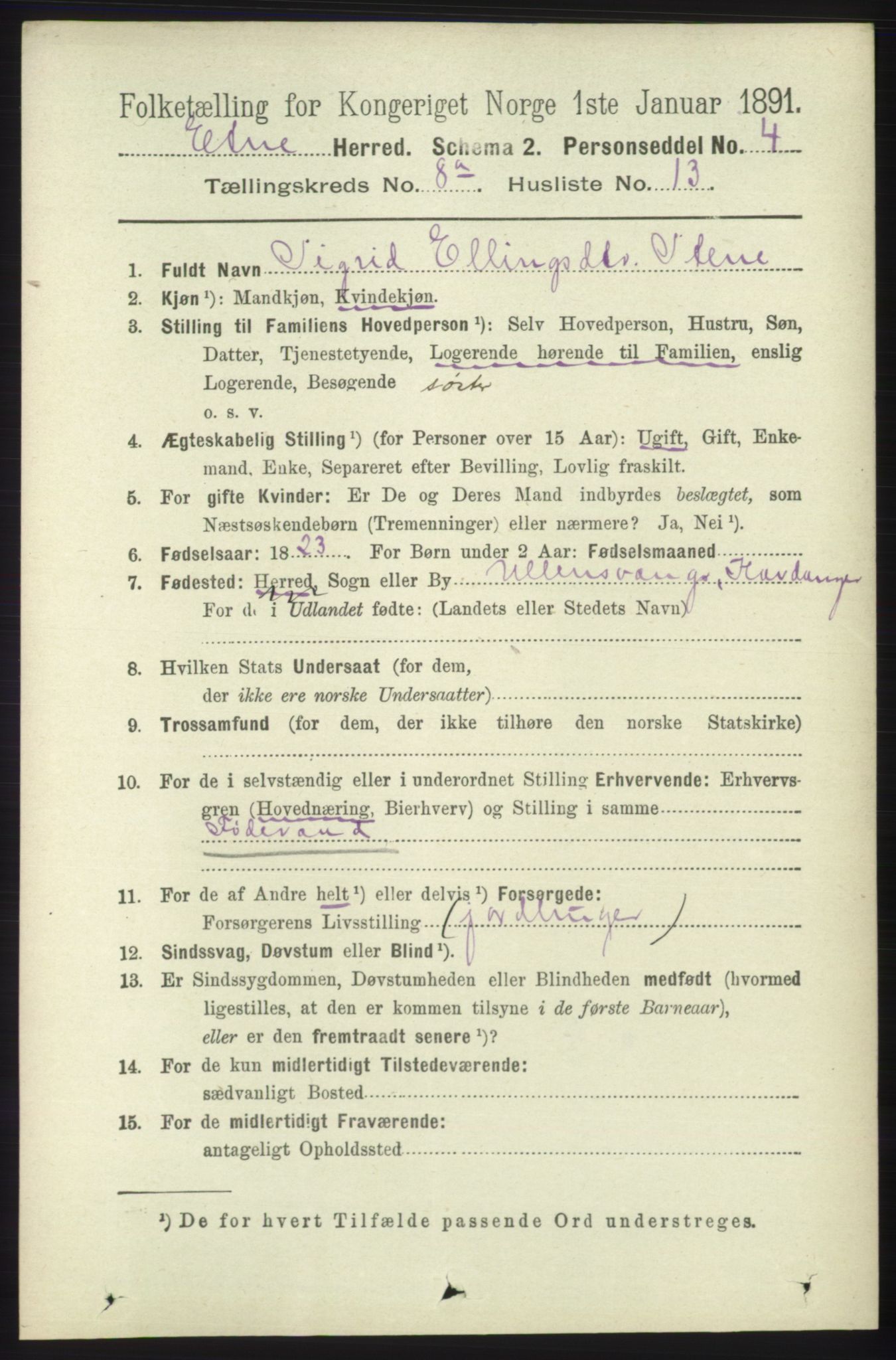 RA, 1891 census for 1211 Etne, 1891, p. 1594