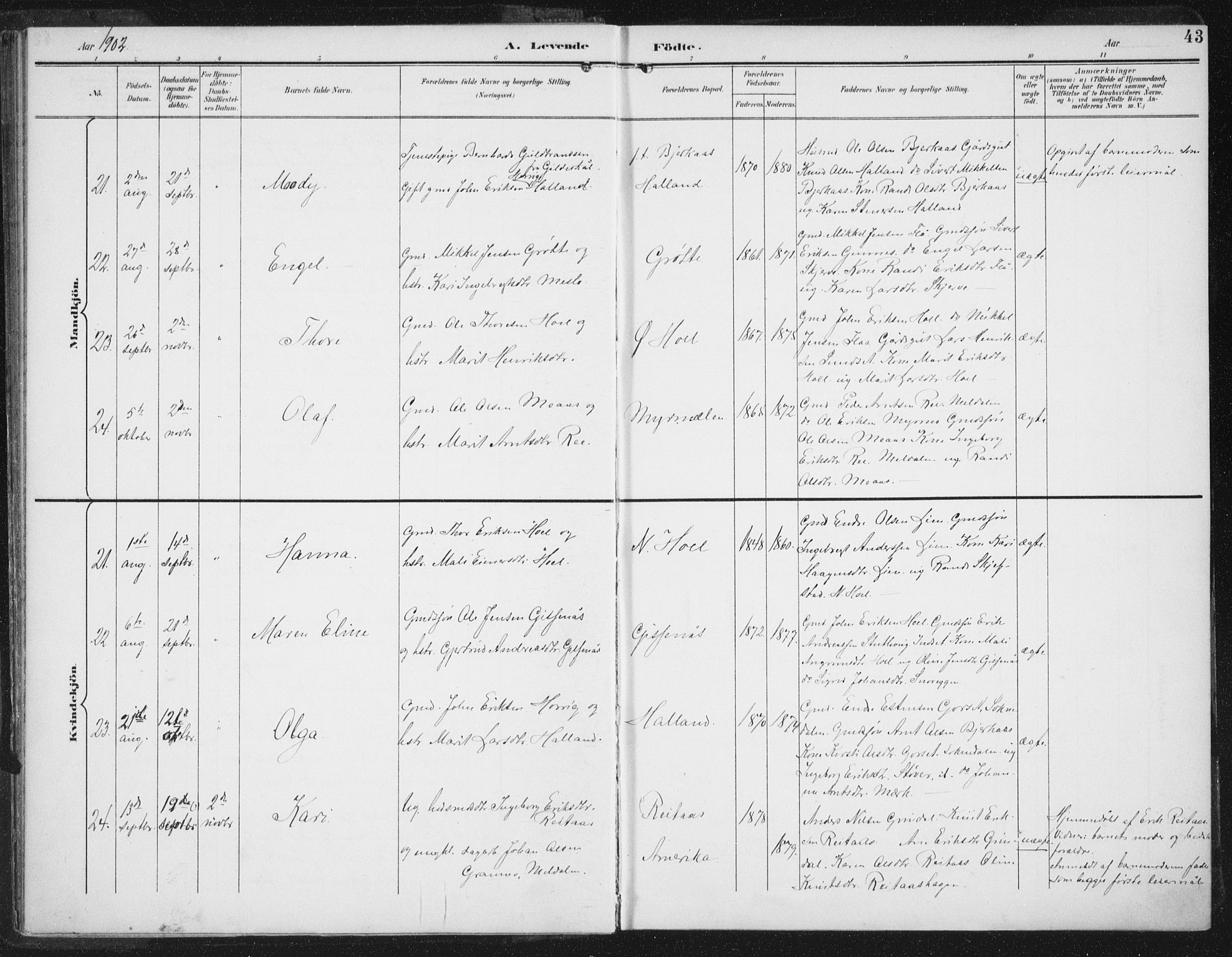 Ministerialprotokoller, klokkerbøker og fødselsregistre - Sør-Trøndelag, AV/SAT-A-1456/674/L0872: Parish register (official) no. 674A04, 1897-1907, p. 43