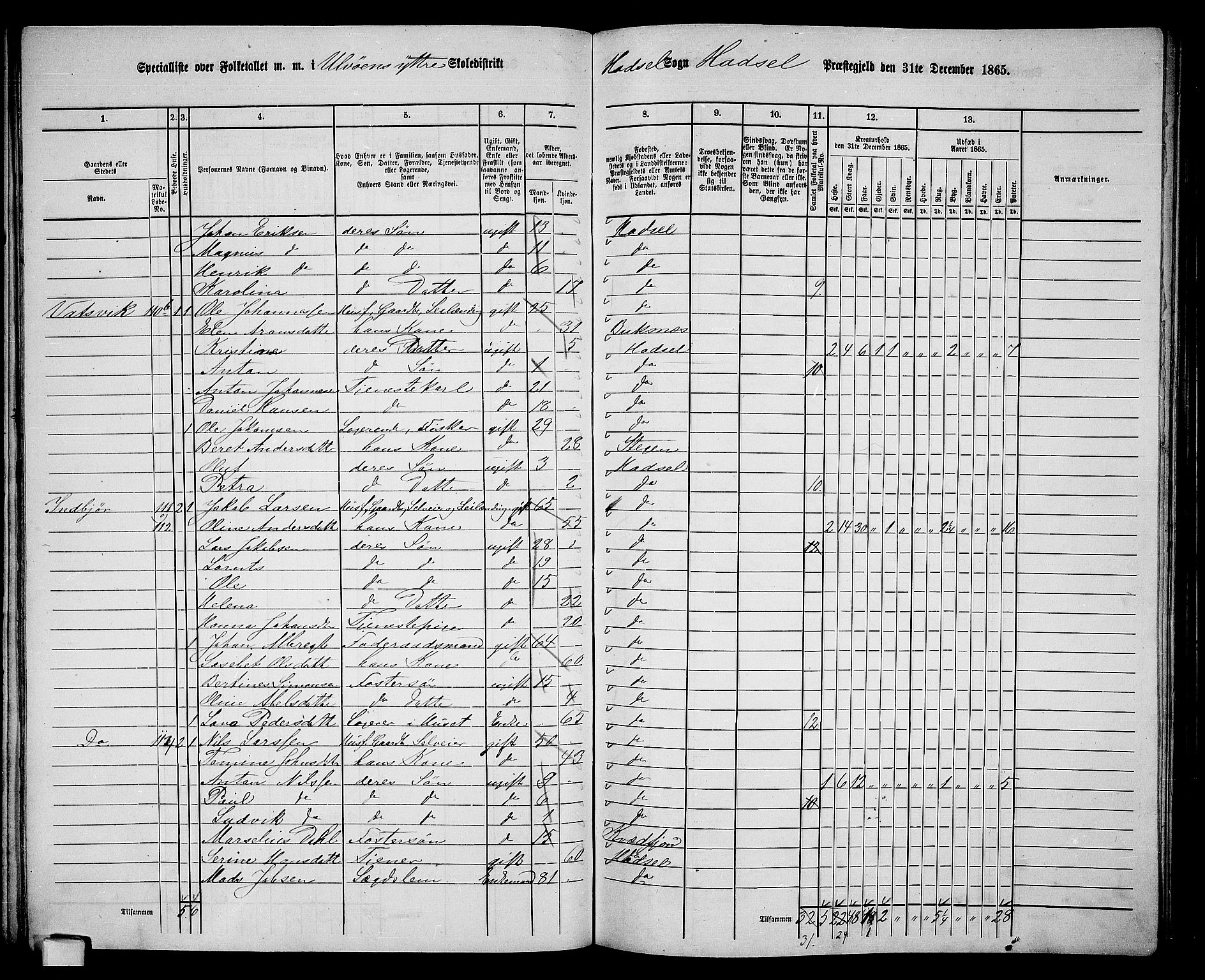 RA, 1865 census for Hadsel, 1865, p. 106
