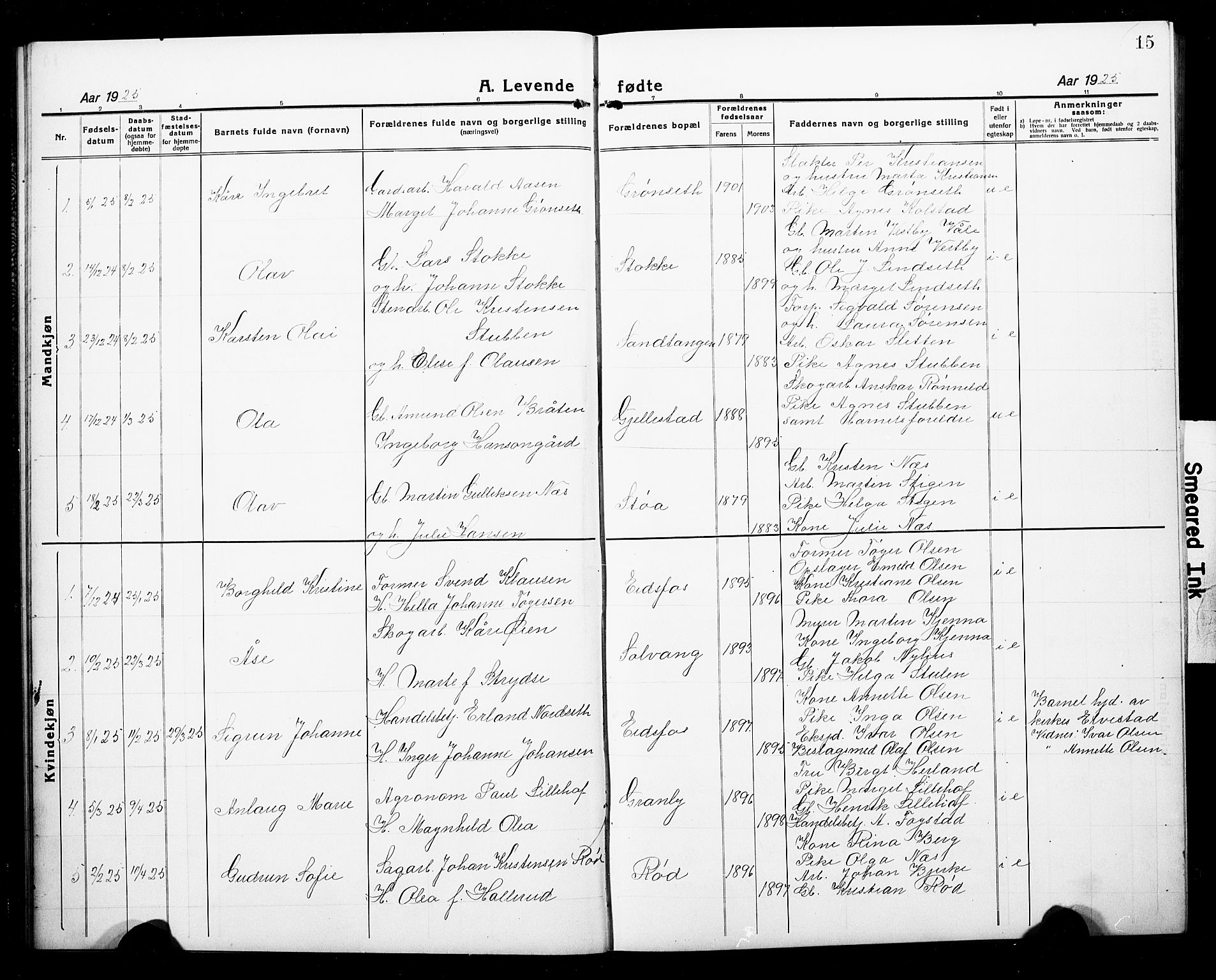 Hof kirkebøker, SAKO/A-64/G/Ga/L0006: Parish register (copy) no. I 6, 1922-1930, p. 15