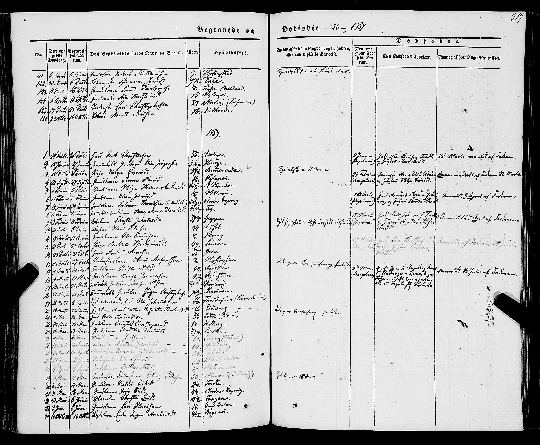 Stord sokneprestembete, AV/SAB-A-78201/H/Haa: Parish register (official) no. A 7, 1841-1861, p. 317