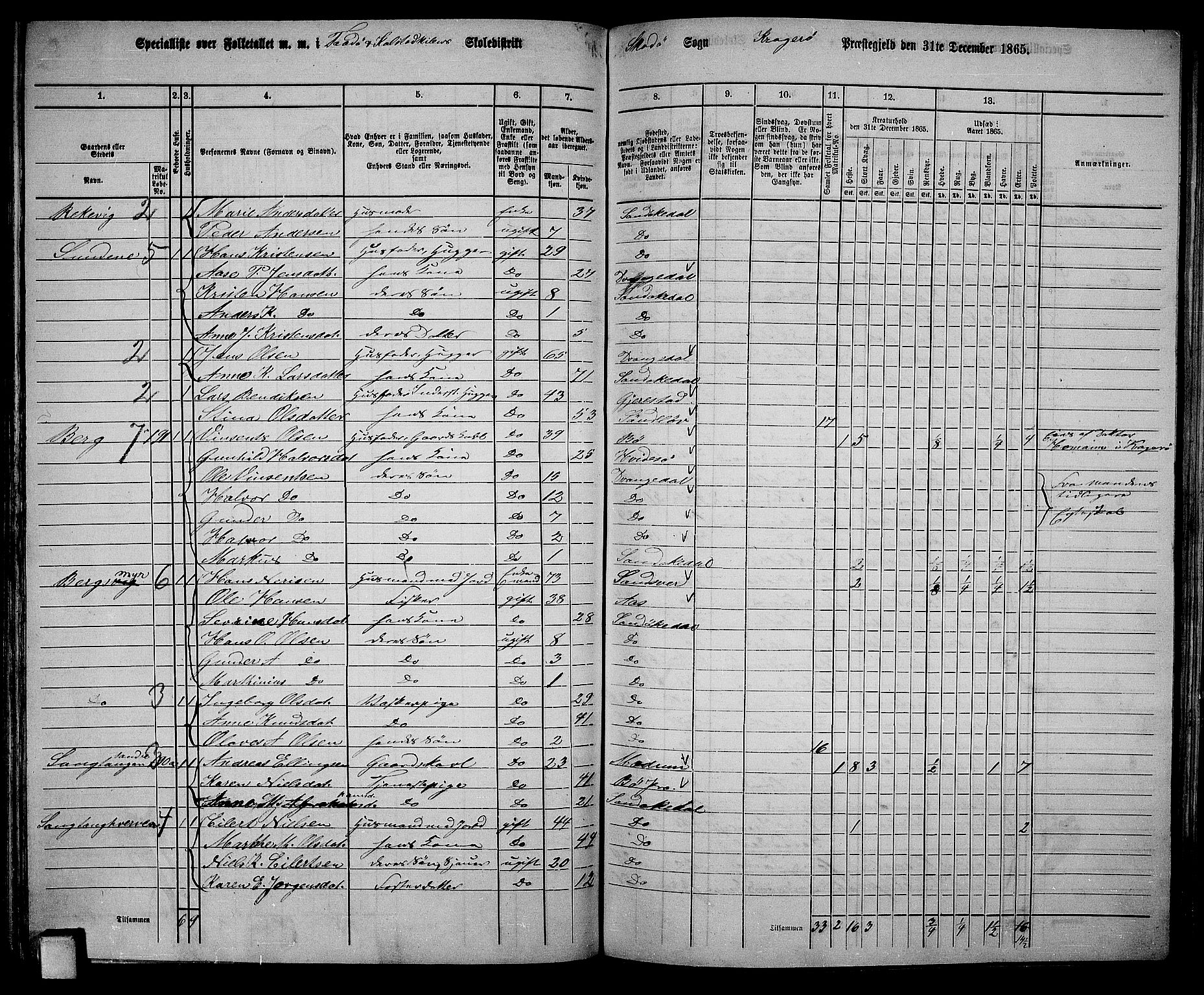 RA, 1865 census for Kragerø/Sannidal og Skåtøy, 1865, p. 123