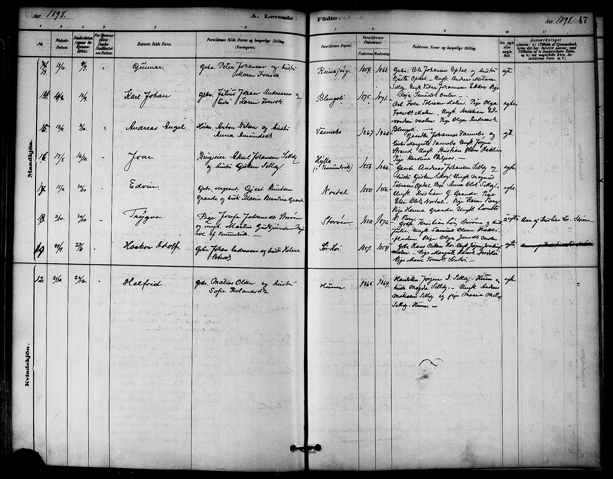 Ministerialprotokoller, klokkerbøker og fødselsregistre - Nord-Trøndelag, AV/SAT-A-1458/766/L0563: Parish register (official) no. 767A01, 1881-1899, p. 47