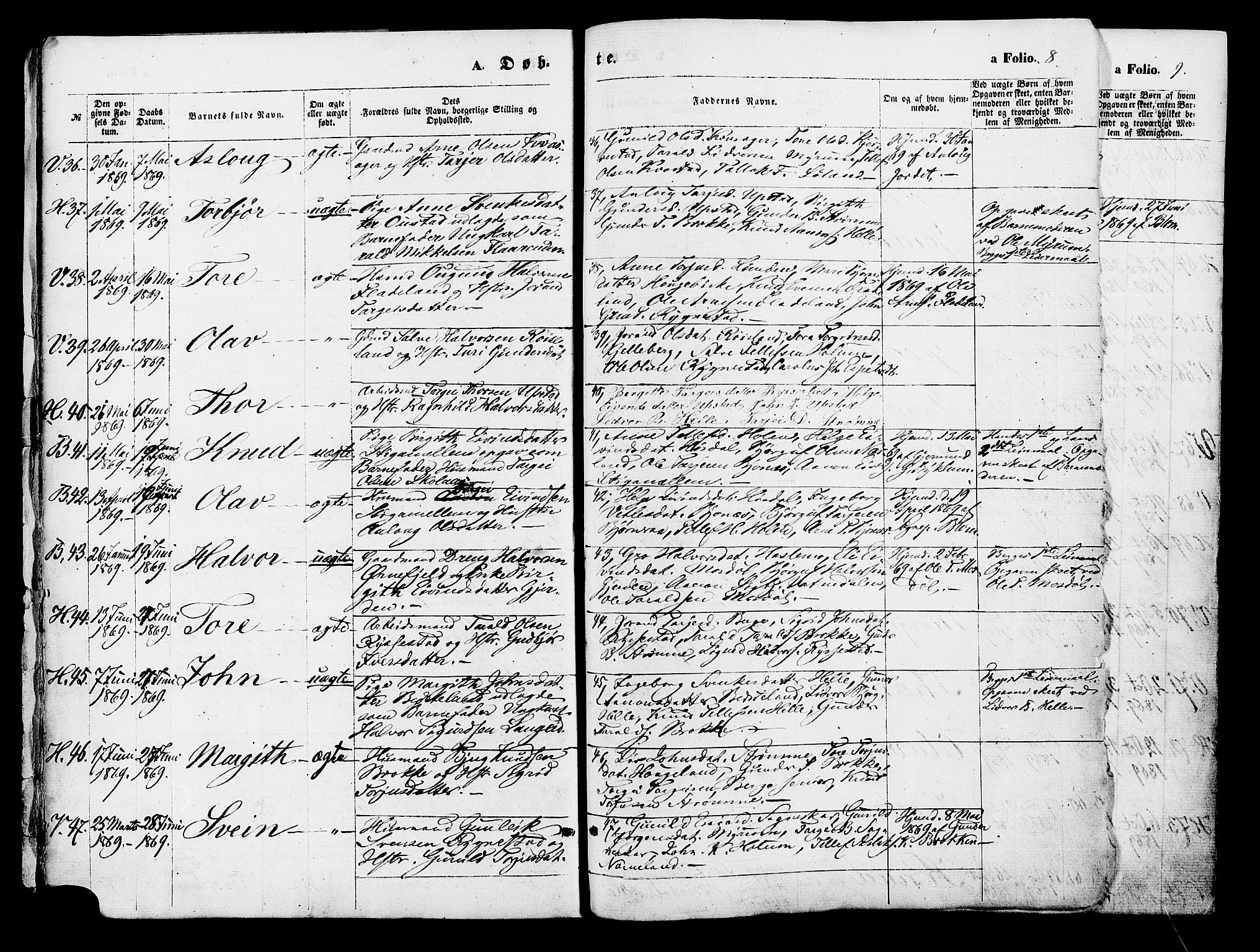 Valle sokneprestkontor, SAK/1111-0044/F/Fa/Fac/L0008: Parish register (official) no. A 8, 1868-1882, p. 8