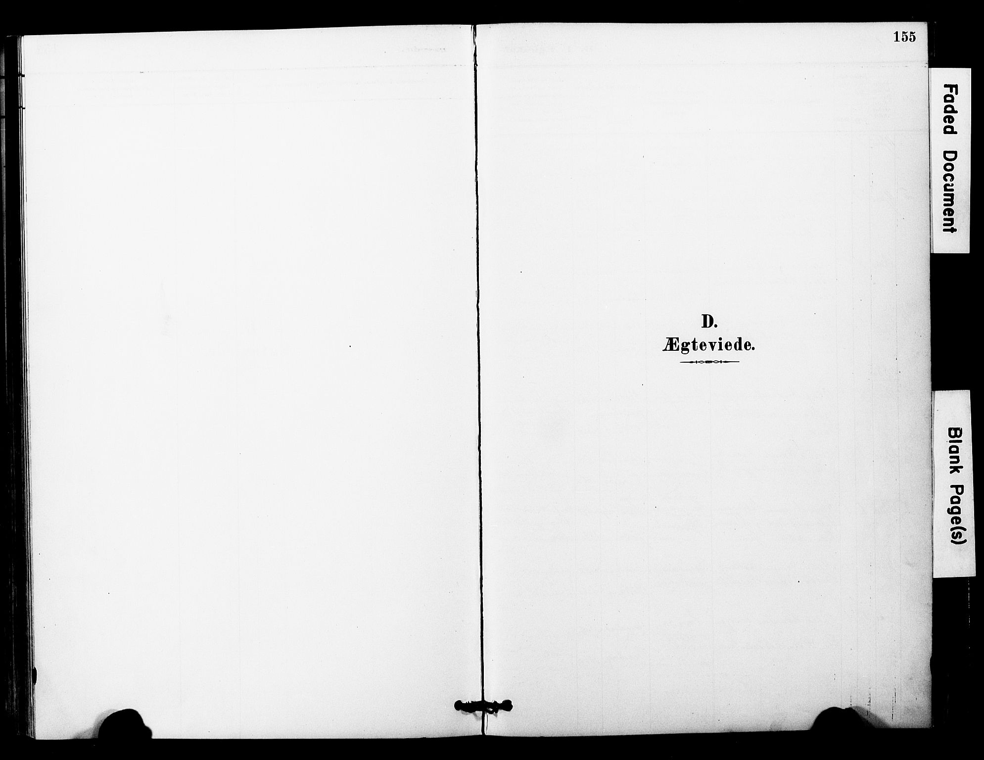 Ministerialprotokoller, klokkerbøker og fødselsregistre - Nord-Trøndelag, SAT/A-1458/757/L0505: Parish register (official) no. 757A01, 1882-1904, p. 155