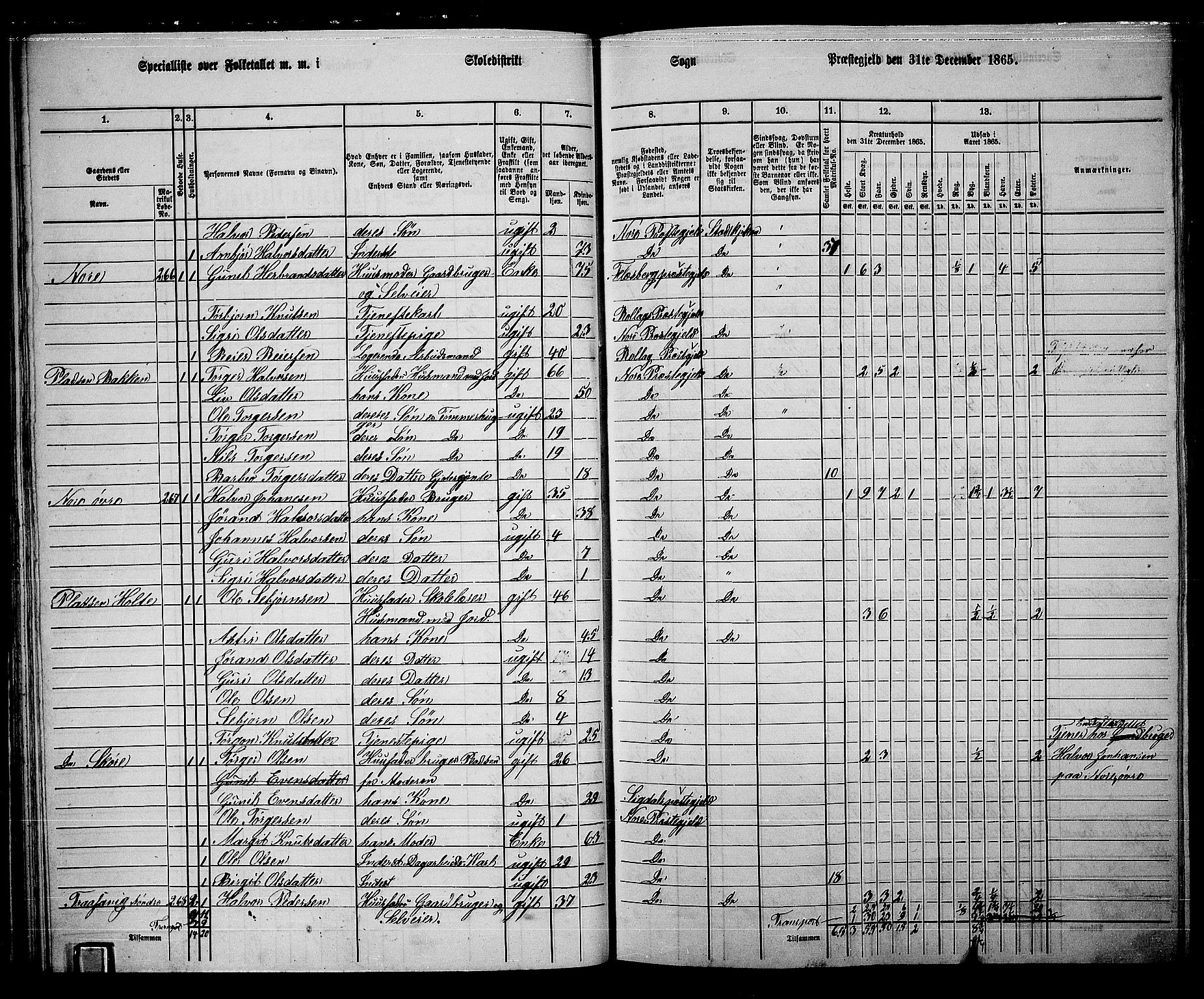 RA, 1865 census for Nore, 1865, p. 31