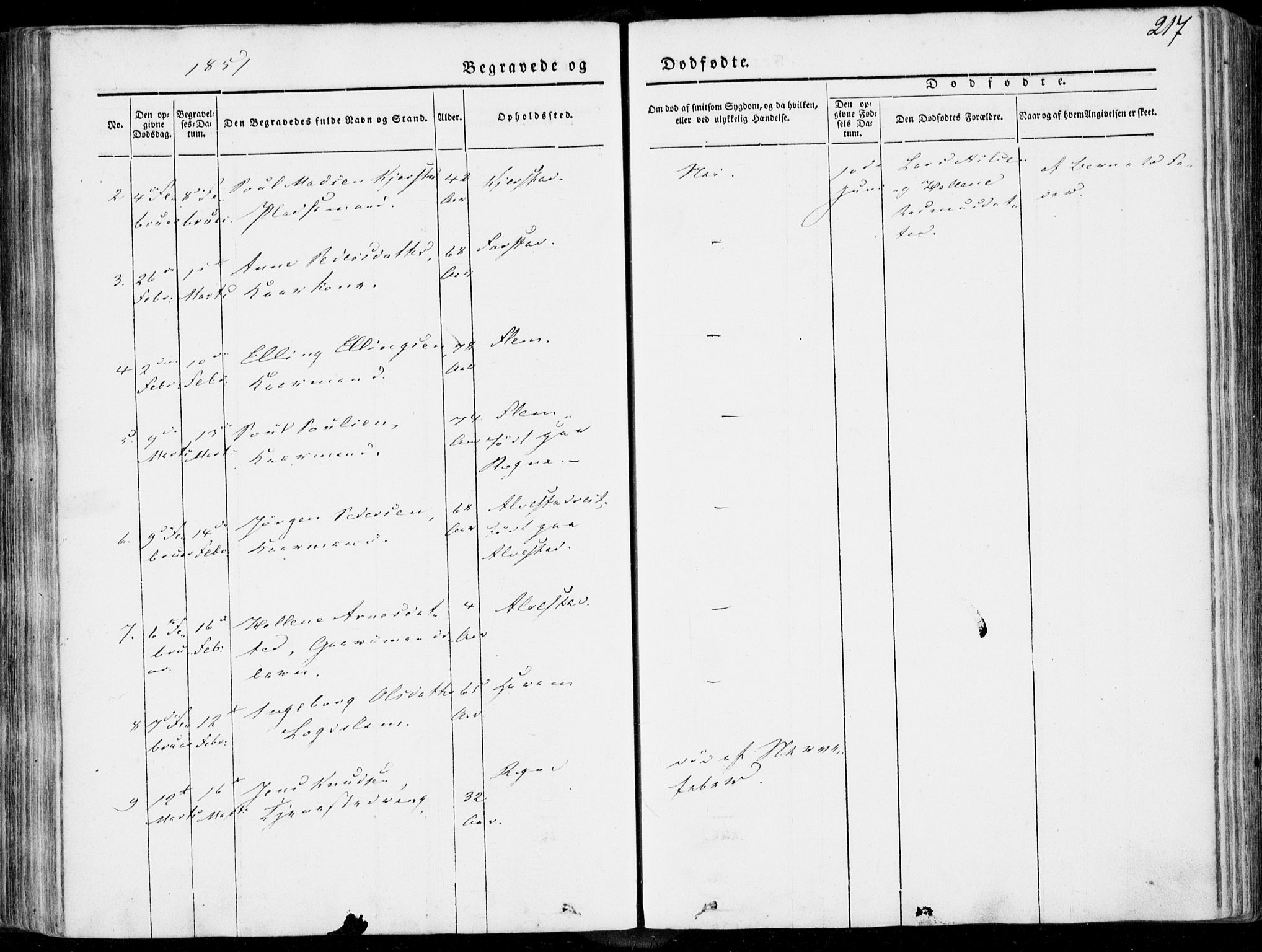 Ministerialprotokoller, klokkerbøker og fødselsregistre - Møre og Romsdal, AV/SAT-A-1454/536/L0497: Parish register (official) no. 536A06, 1845-1865, p. 217