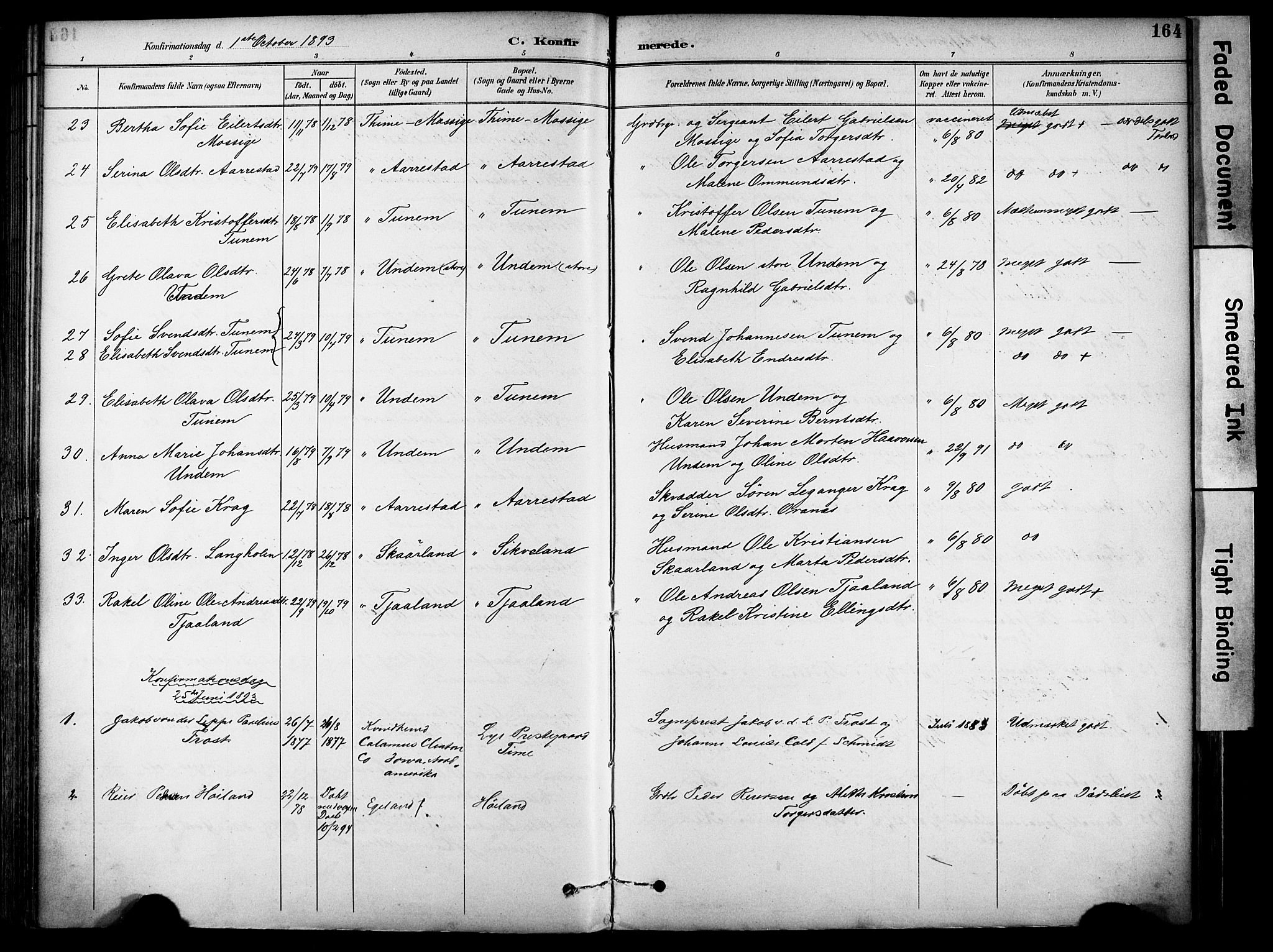 Lye sokneprestkontor, AV/SAST-A-101794/001/30BA/L0011: Parish register (official) no. A 9, 1893-1903, p. 164