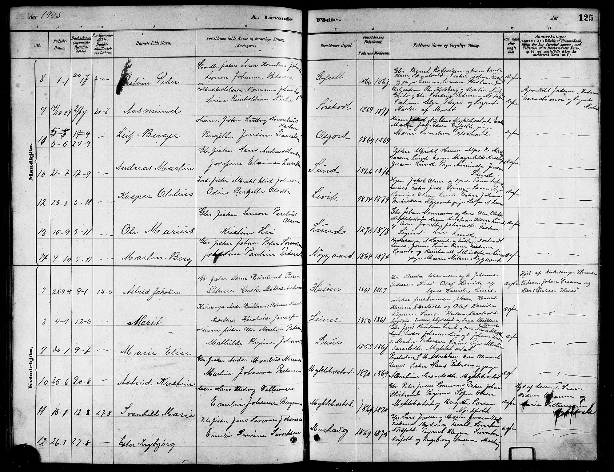 Ministerialprotokoller, klokkerbøker og fødselsregistre - Nordland, AV/SAT-A-1459/857/L0828: Parish register (copy) no. 857C03, 1879-1908, p. 125