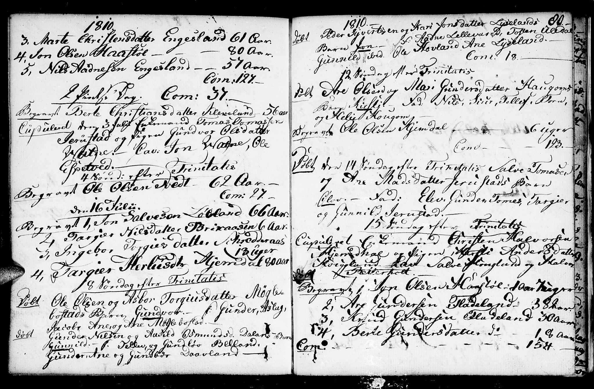 Herefoss sokneprestkontor, AV/SAK-1111-0019/F/Fa/Fab/L0002: Parish register (official) no. A 2, 1780-1816, p. 80