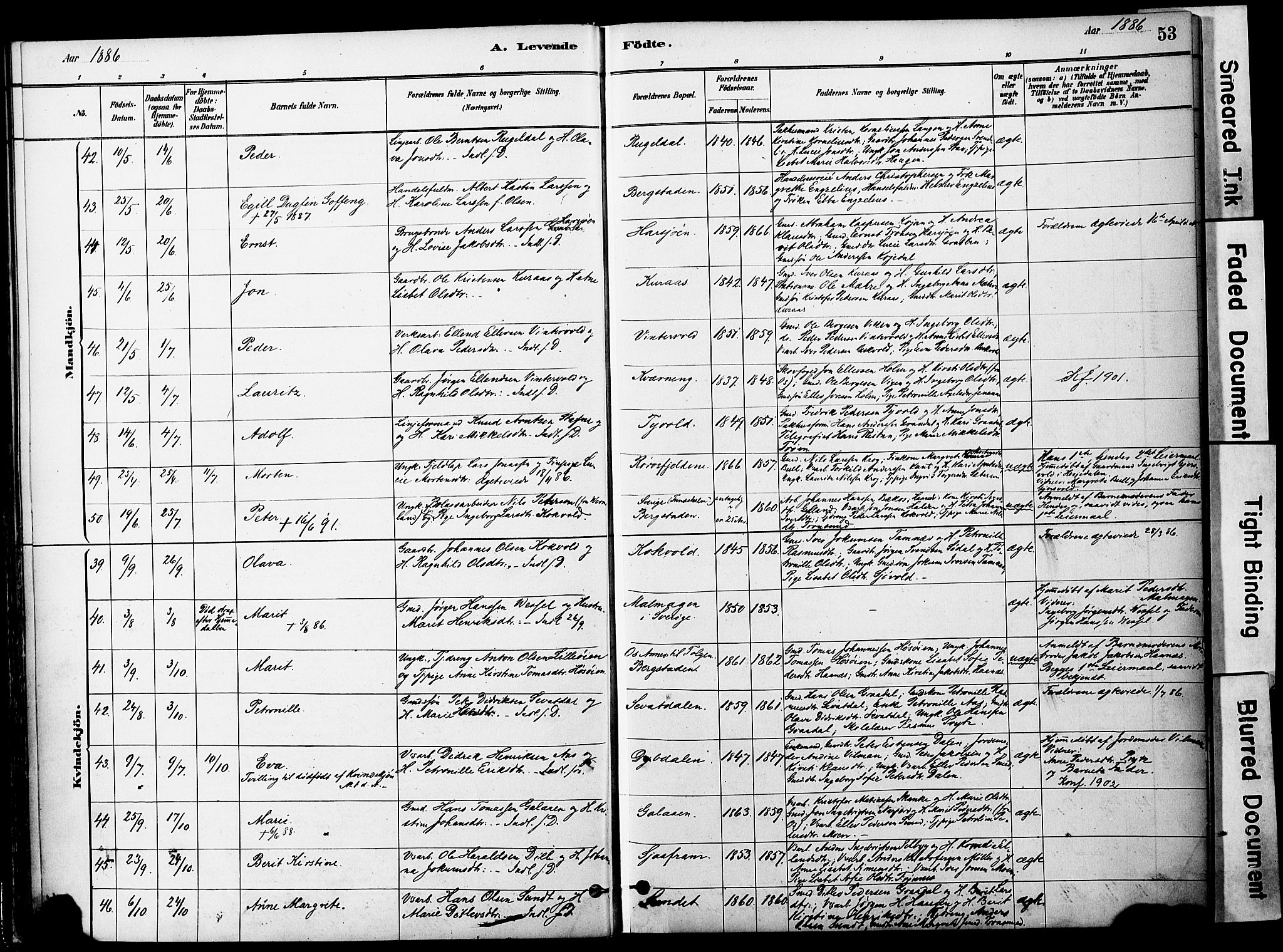 Ministerialprotokoller, klokkerbøker og fødselsregistre - Sør-Trøndelag, SAT/A-1456/681/L0933: Parish register (official) no. 681A11, 1879-1890, p. 53