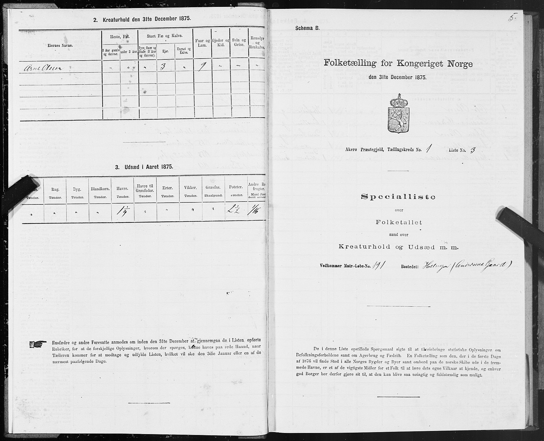 SAT, 1875 census for 1545P Aukra, 1875, p. 1005