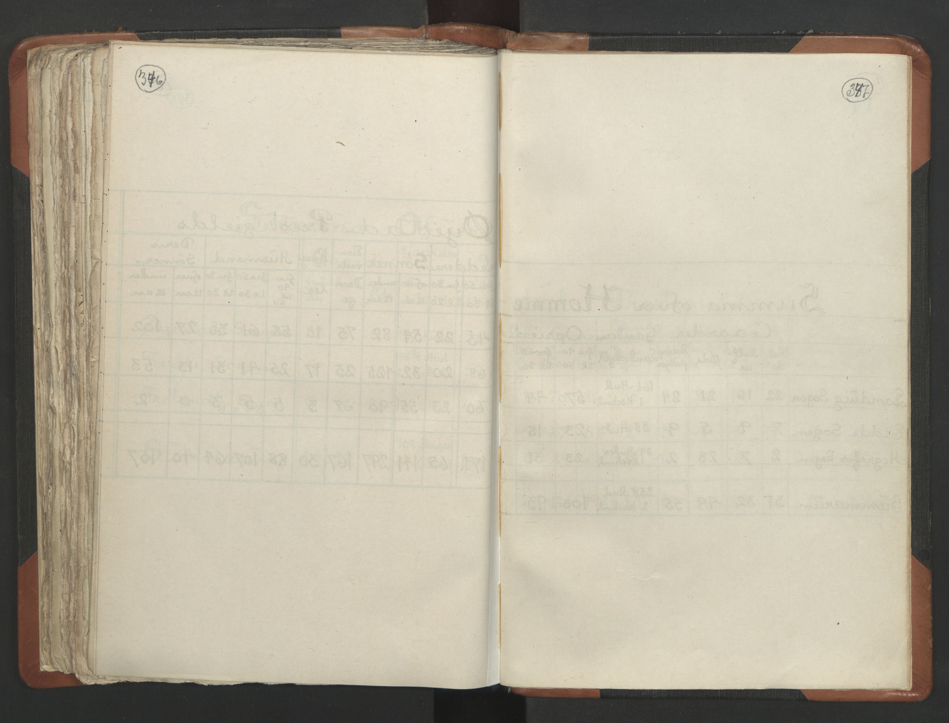 RA, Vicar's Census 1664-1666, no. 13: Nedenes deanery, 1664-1666, p. 346-347