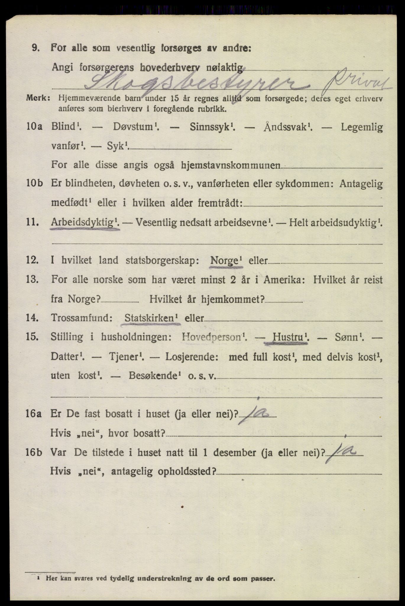 SAH, 1920 census for Åsnes, 1920, p. 13341