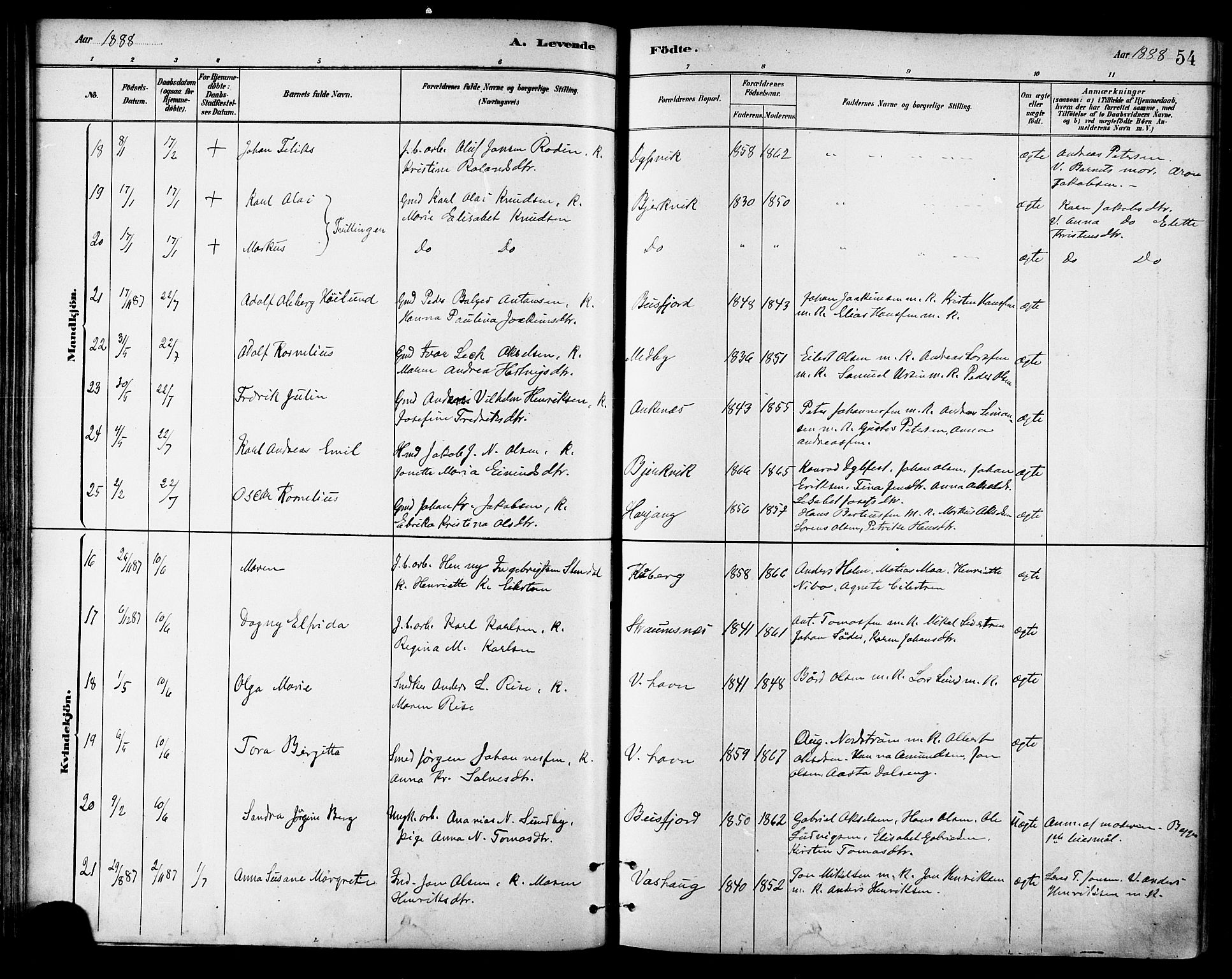 Ministerialprotokoller, klokkerbøker og fødselsregistre - Nordland, SAT/A-1459/866/L0938: Parish register (official) no. 866A01, 1879-1893, p. 54