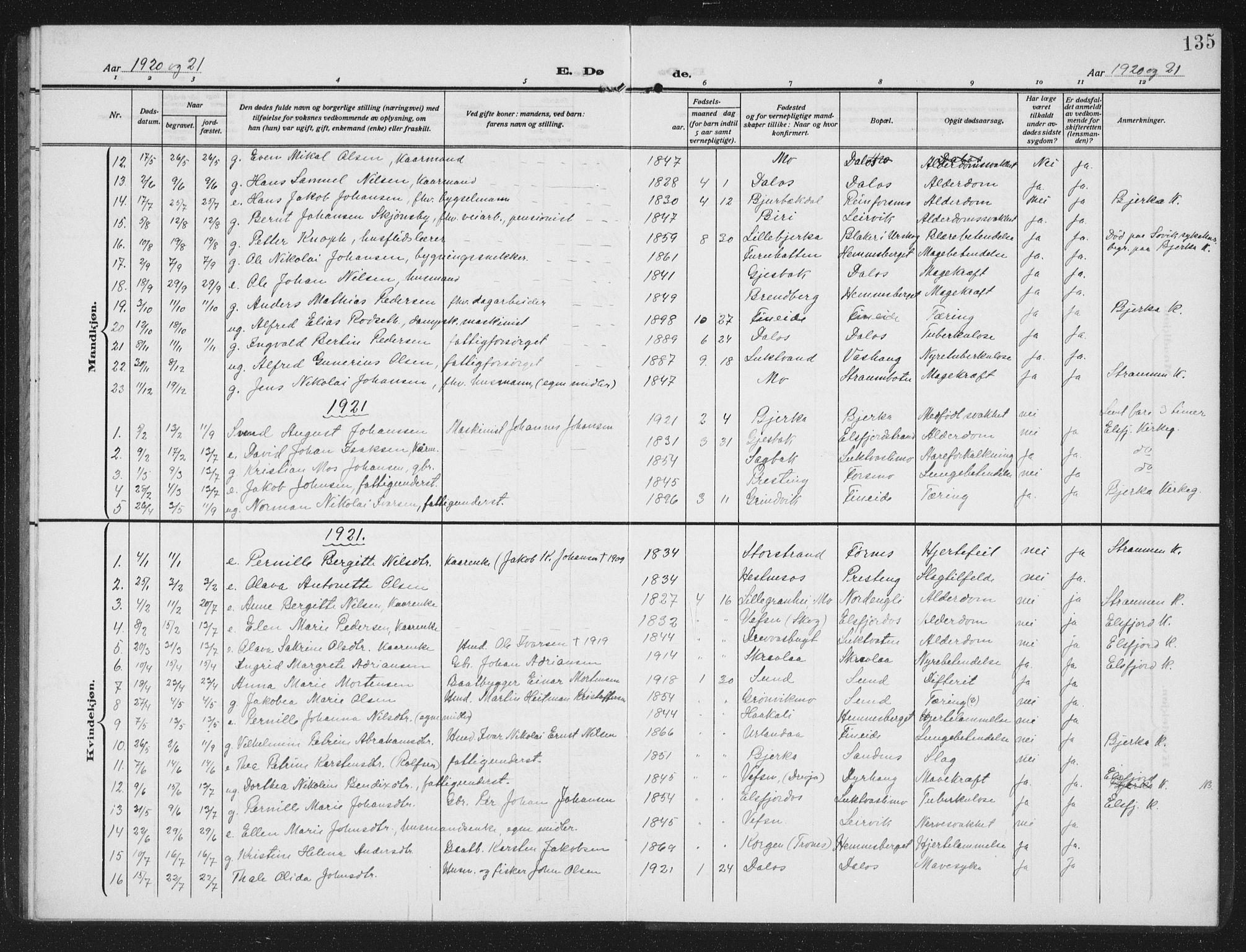 Ministerialprotokoller, klokkerbøker og fødselsregistre - Nordland, SAT/A-1459/825/L0371: Parish register (copy) no. 825C08, 1907-1940, p. 135