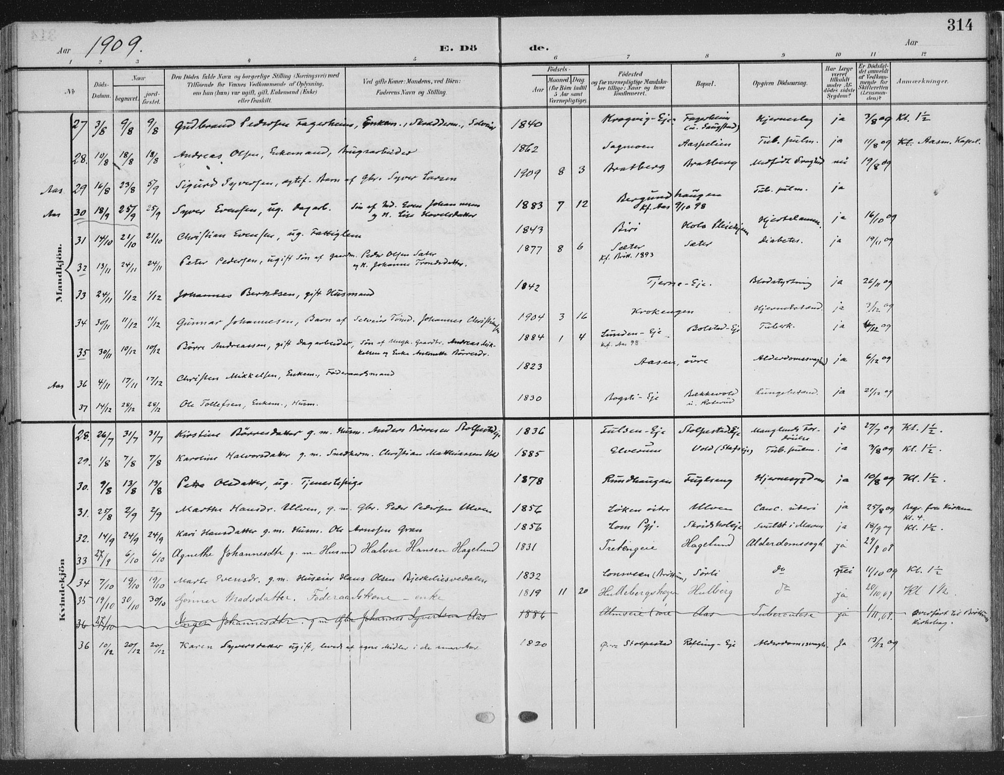 Ringsaker prestekontor, AV/SAH-PREST-014/K/Ka/L0018: Parish register (official) no. 18, 1903-1912, p. 314