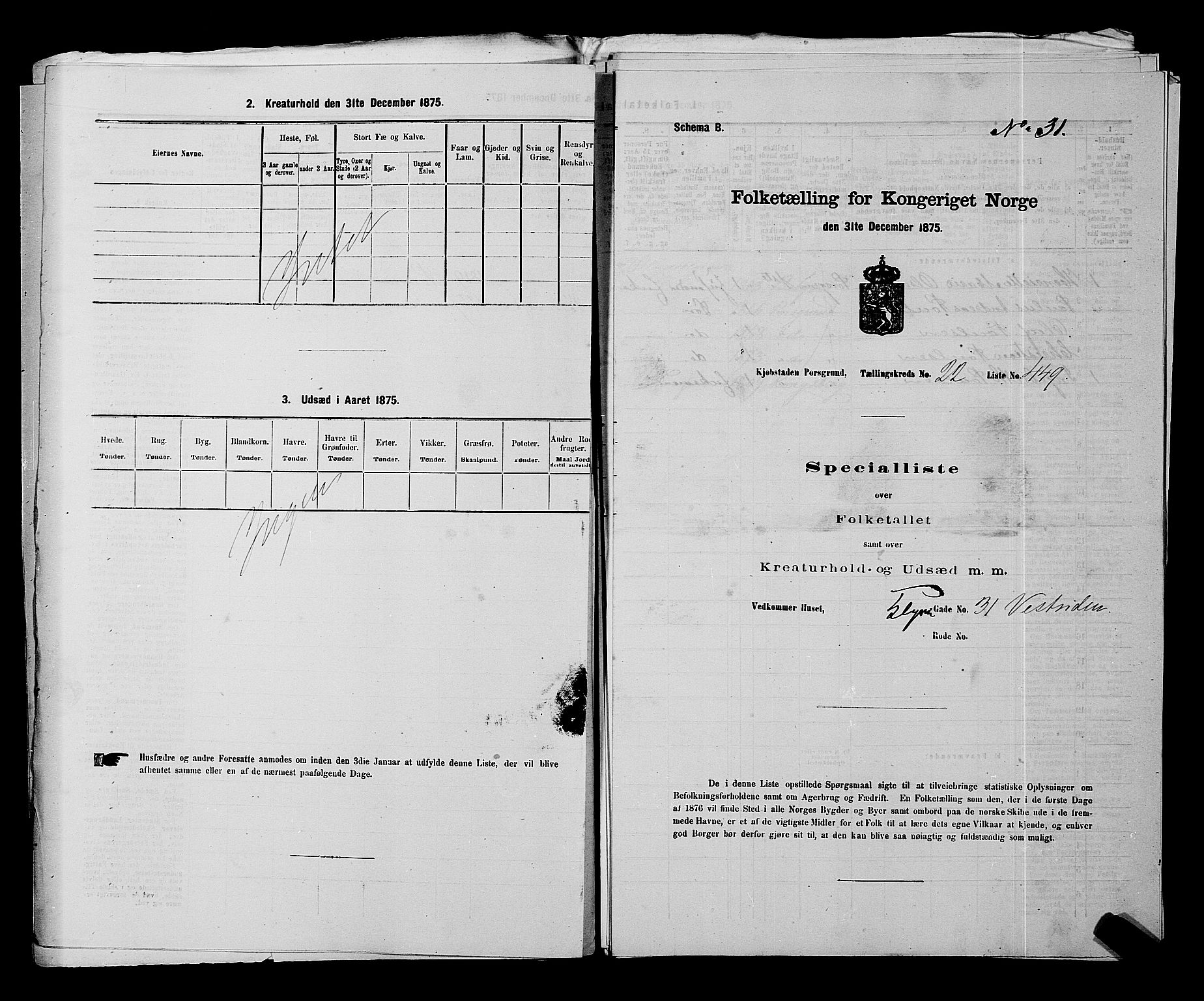 SAKO, 1875 census for 0805P Porsgrunn, 1875, p. 1007