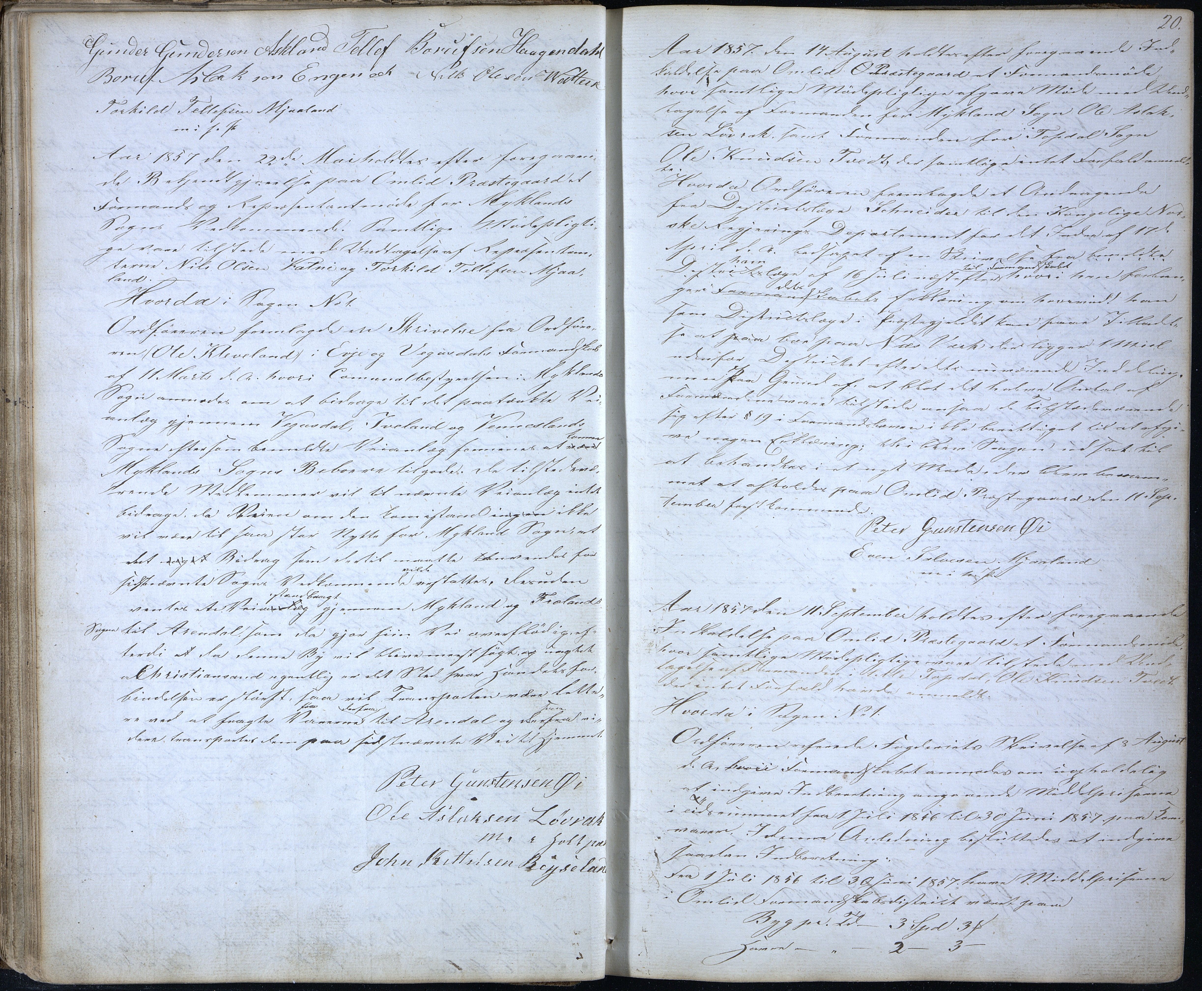 Åmli kommune før 1985, AAKS/KA0929-PK/01/01a/L0002: Møtebok, 1855-1868, p. 20
