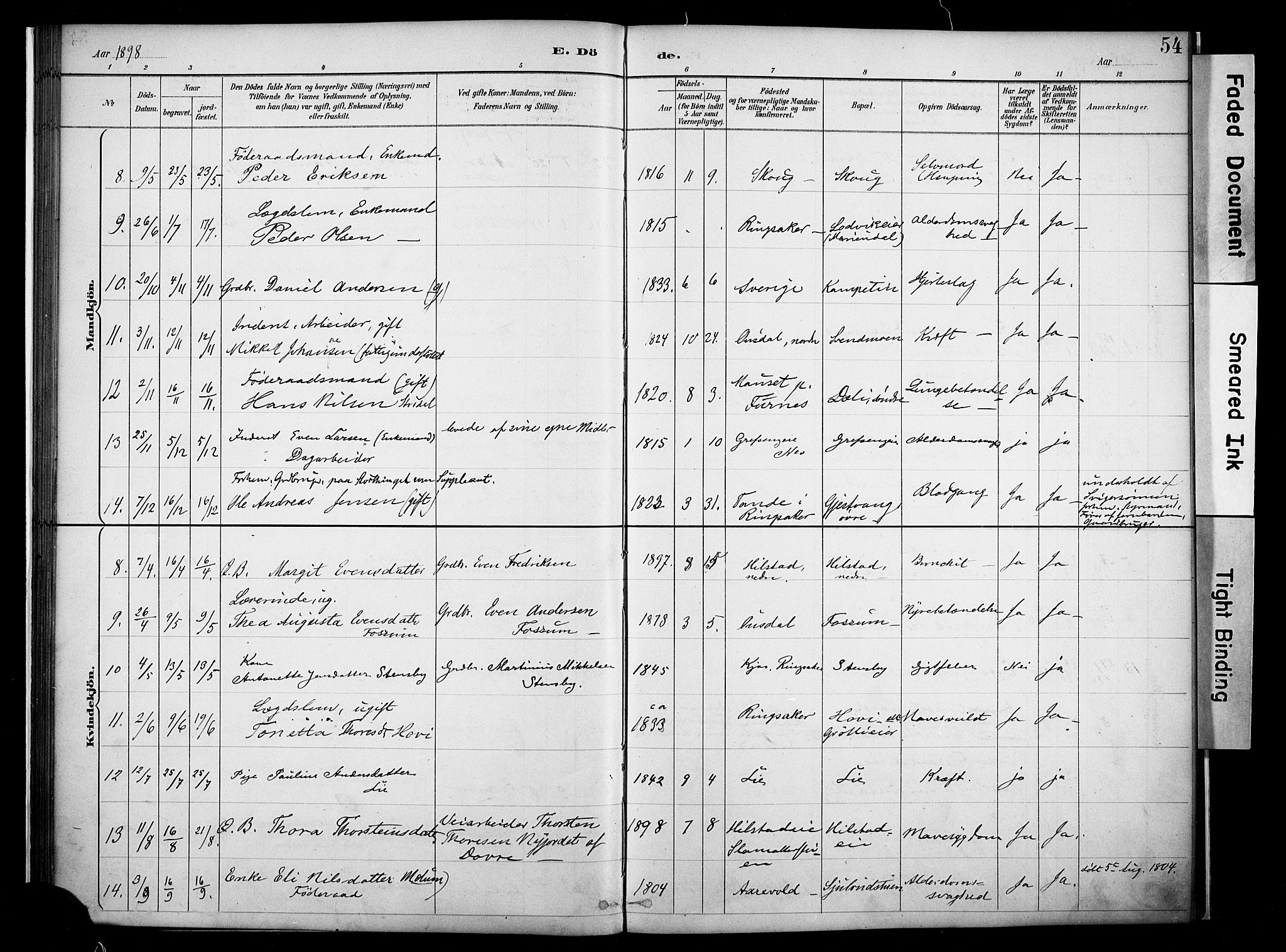 Nes prestekontor, Hedmark, AV/SAH-PREST-020/K/Ka/L0011: Parish register (official) no. 11, 1887-1905, p. 54