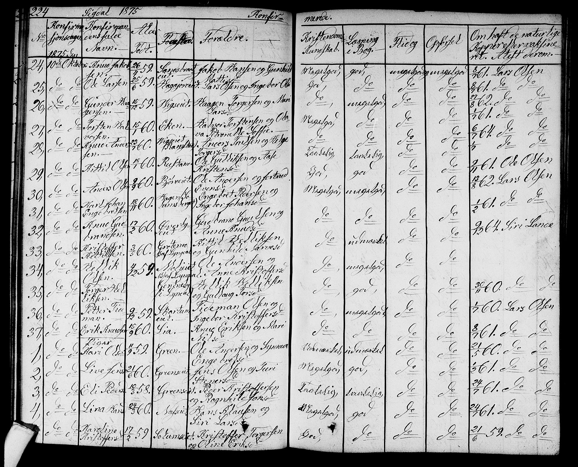 Sigdal kirkebøker, SAKO/A-245/G/Ga/L0003: Parish register (copy) no. I 3, 1857-1878, p. 224