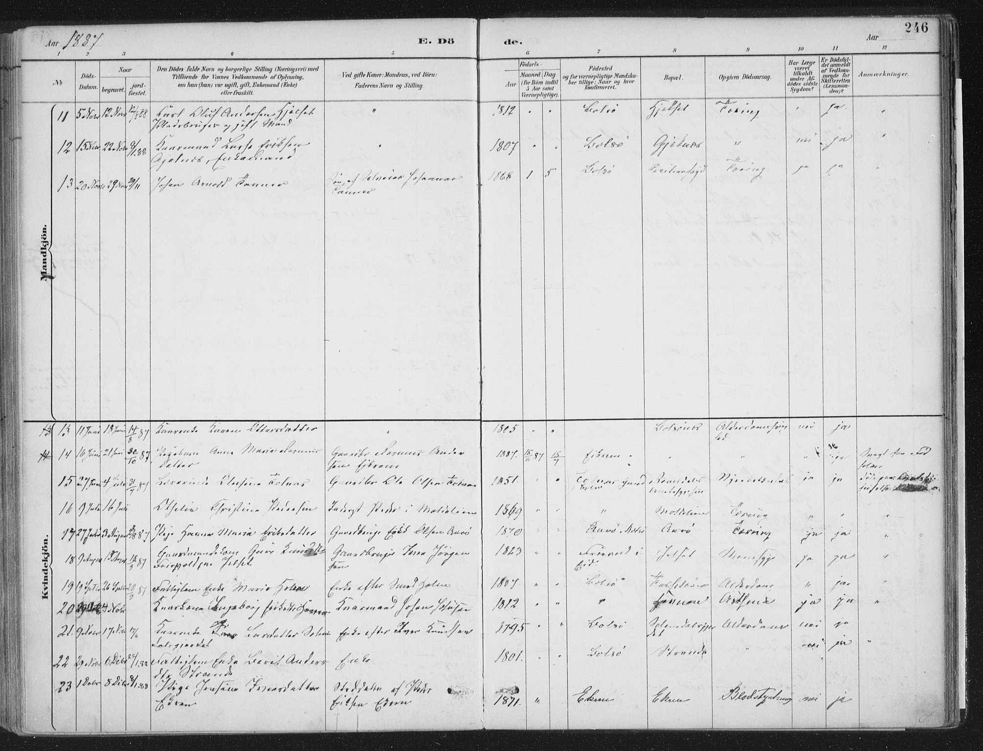 Ministerialprotokoller, klokkerbøker og fødselsregistre - Møre og Romsdal, AV/SAT-A-1454/555/L0658: Parish register (official) no. 555A09, 1887-1917, p. 246