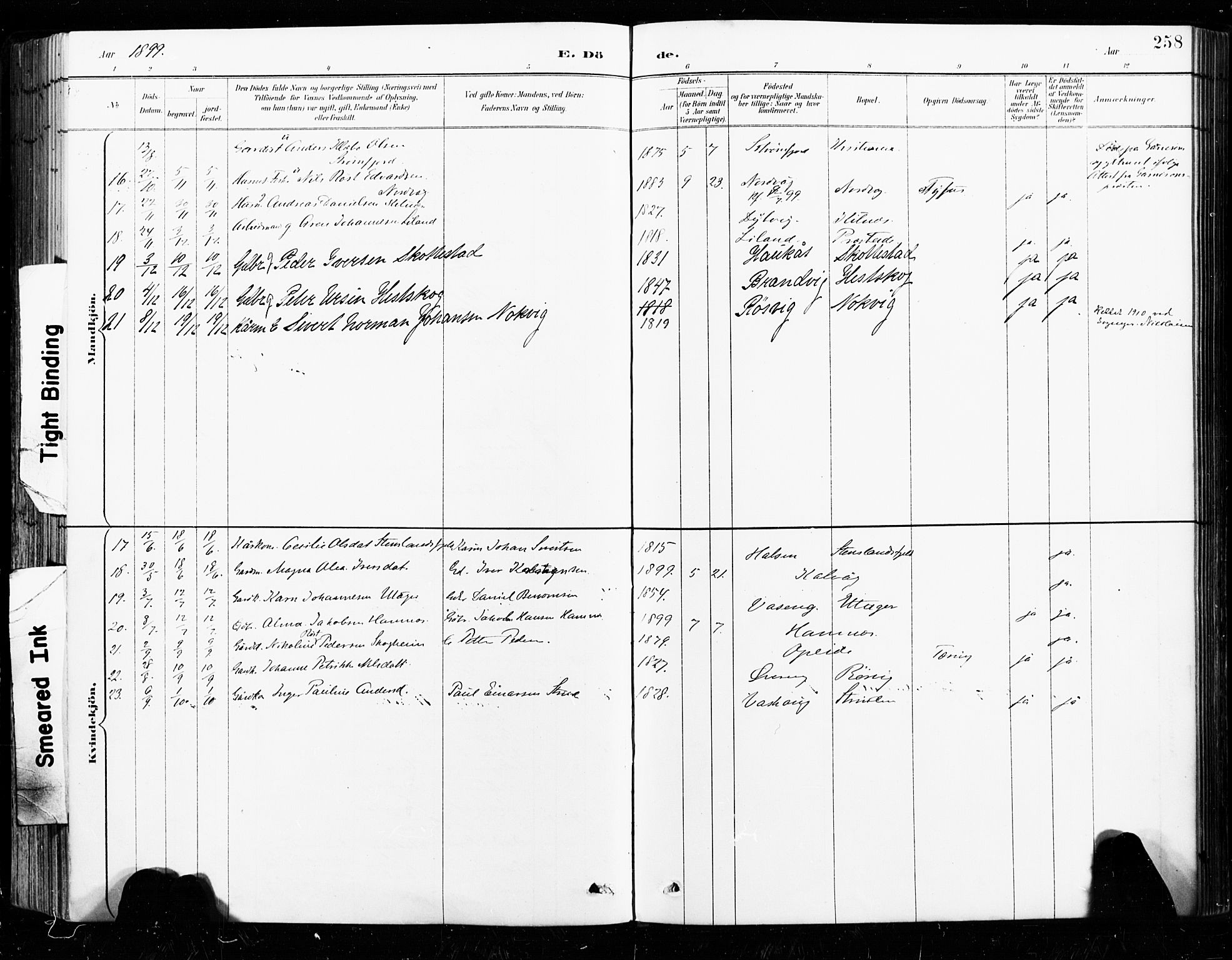 Ministerialprotokoller, klokkerbøker og fødselsregistre - Nordland, SAT/A-1459/859/L0847: Parish register (official) no. 859A07, 1890-1899, p. 258