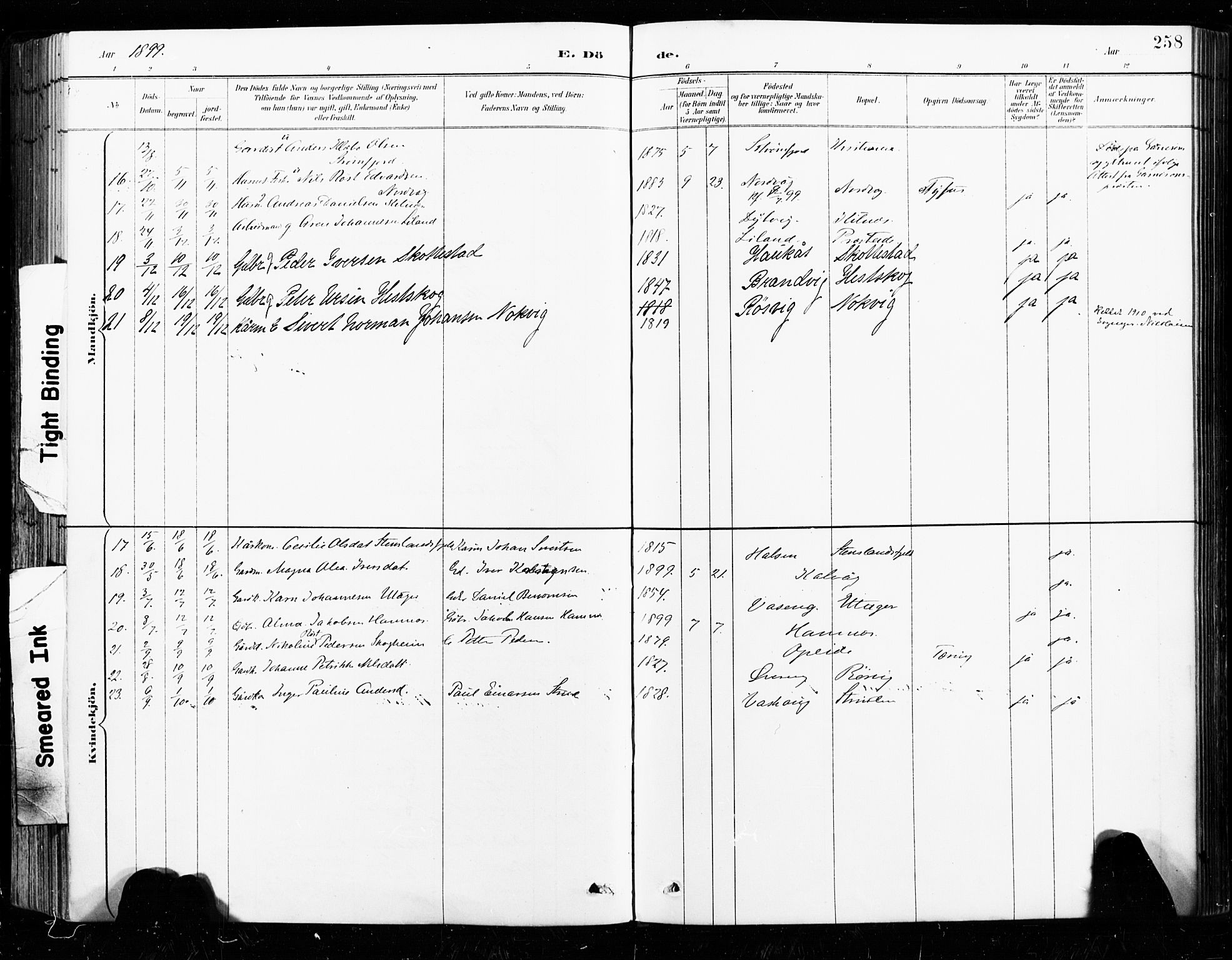 Ministerialprotokoller, klokkerbøker og fødselsregistre - Nordland, AV/SAT-A-1459/859/L0847: Parish register (official) no. 859A07, 1890-1899, p. 258