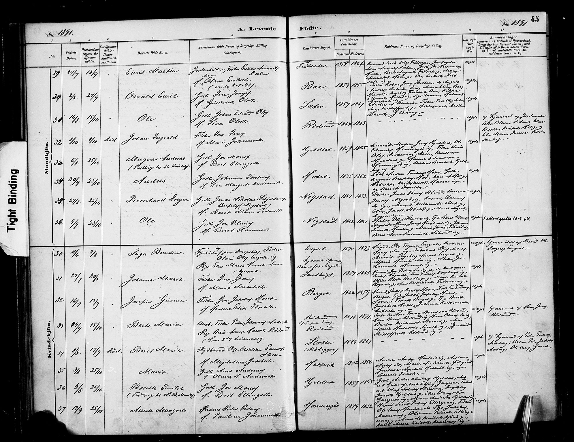 Ministerialprotokoller, klokkerbøker og fødselsregistre - Møre og Romsdal, AV/SAT-A-1454/569/L0819: Parish register (official) no. 569A05, 1885-1899, p. 45