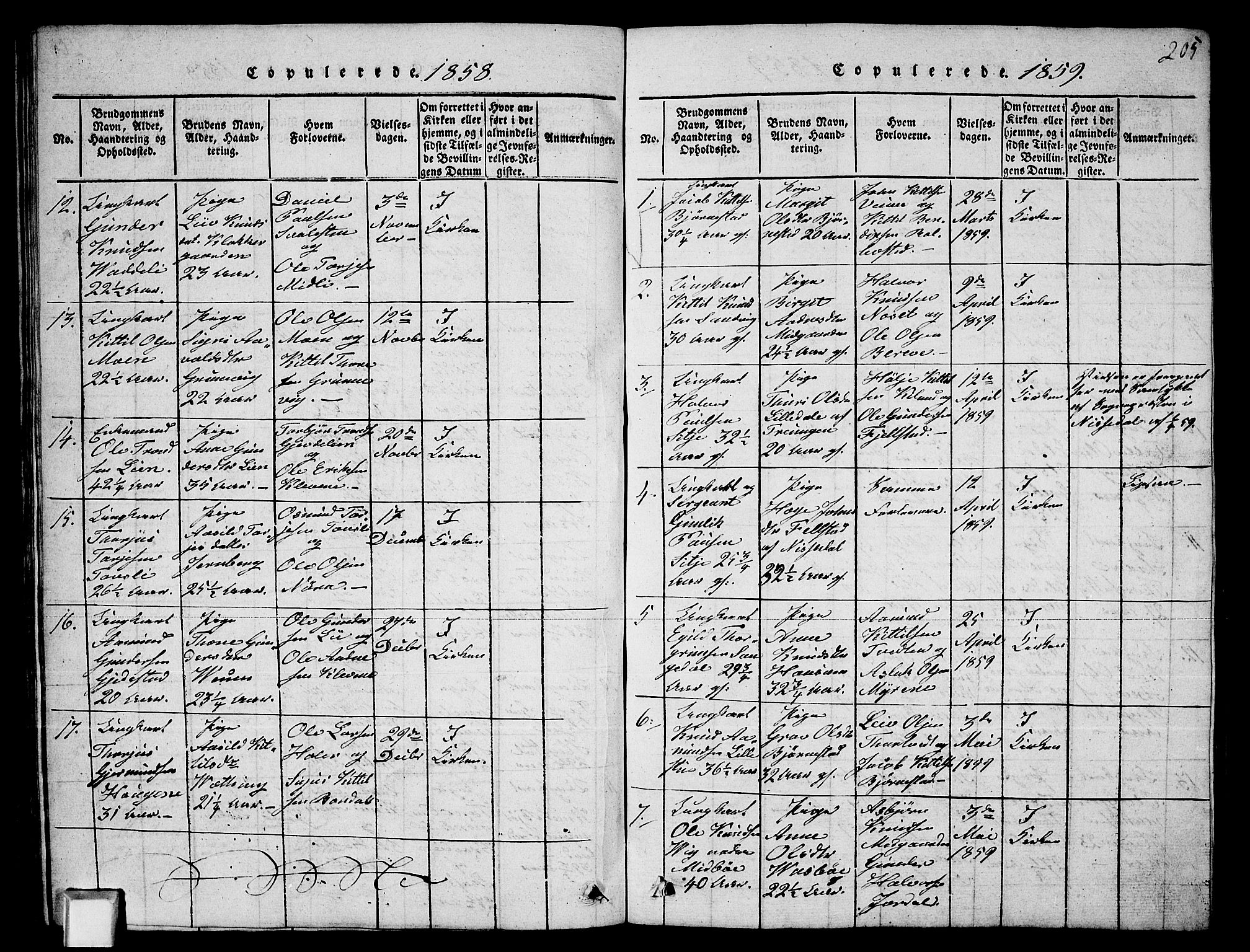 Fyresdal kirkebøker, SAKO/A-263/G/Ga/L0003: Parish register (copy) no. I 3, 1815-1863, p. 205