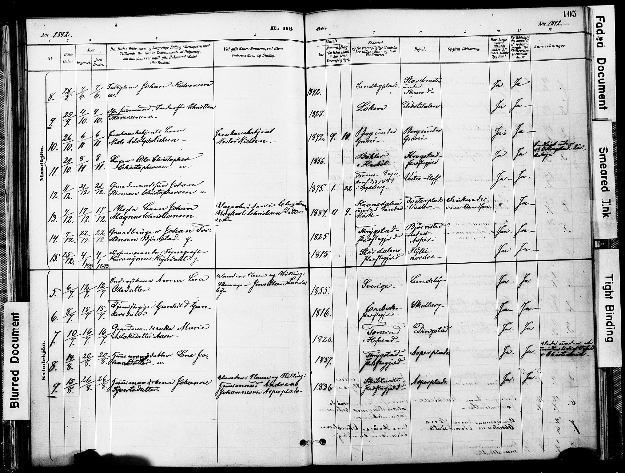 Spydeberg prestekontor Kirkebøker, AV/SAO-A-10924/F/Fa/L0008: Parish register (official) no. I 8, 1886-1900, p. 105