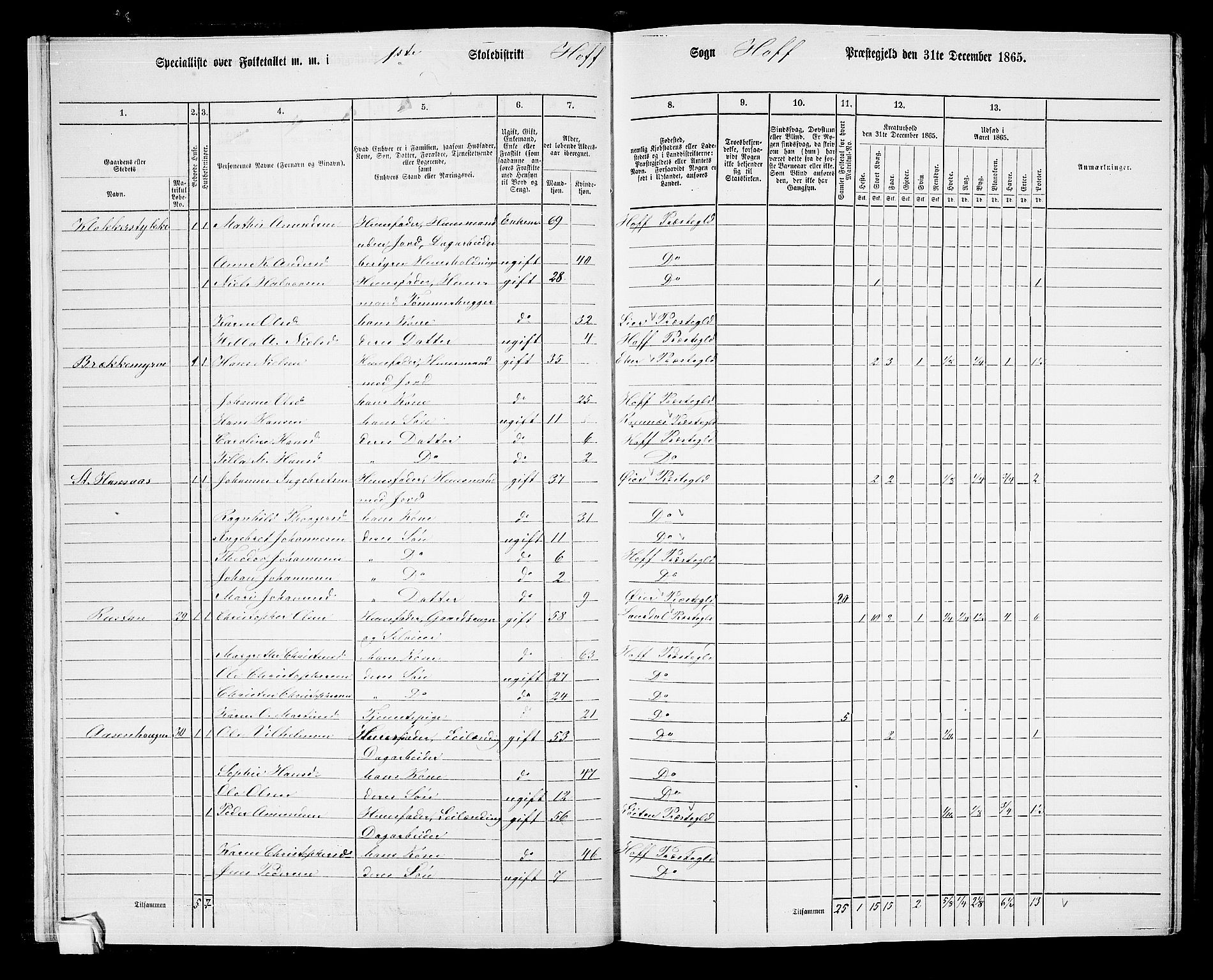 RA, 1865 census for Hof, 1865, p. 19