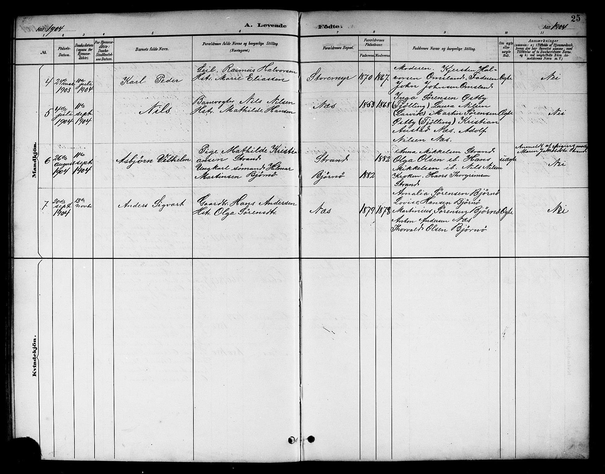 Brunlanes kirkebøker, AV/SAKO-A-342/G/Gc/L0002: Parish register (copy) no. III 2, 1891-1922, p. 25