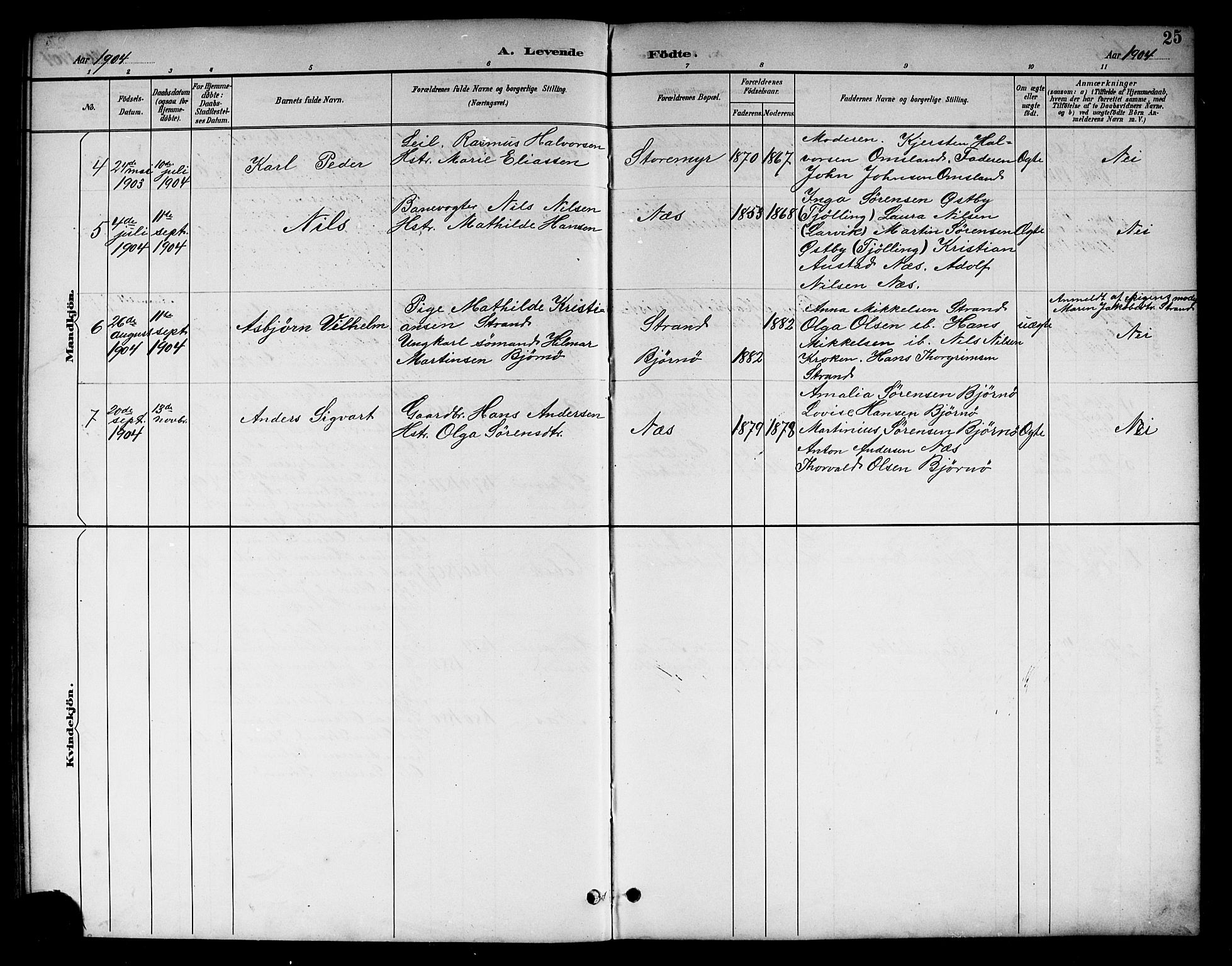 Brunlanes kirkebøker, SAKO/A-342/G/Gc/L0002: Parish register (copy) no. III 2, 1891-1922, p. 25