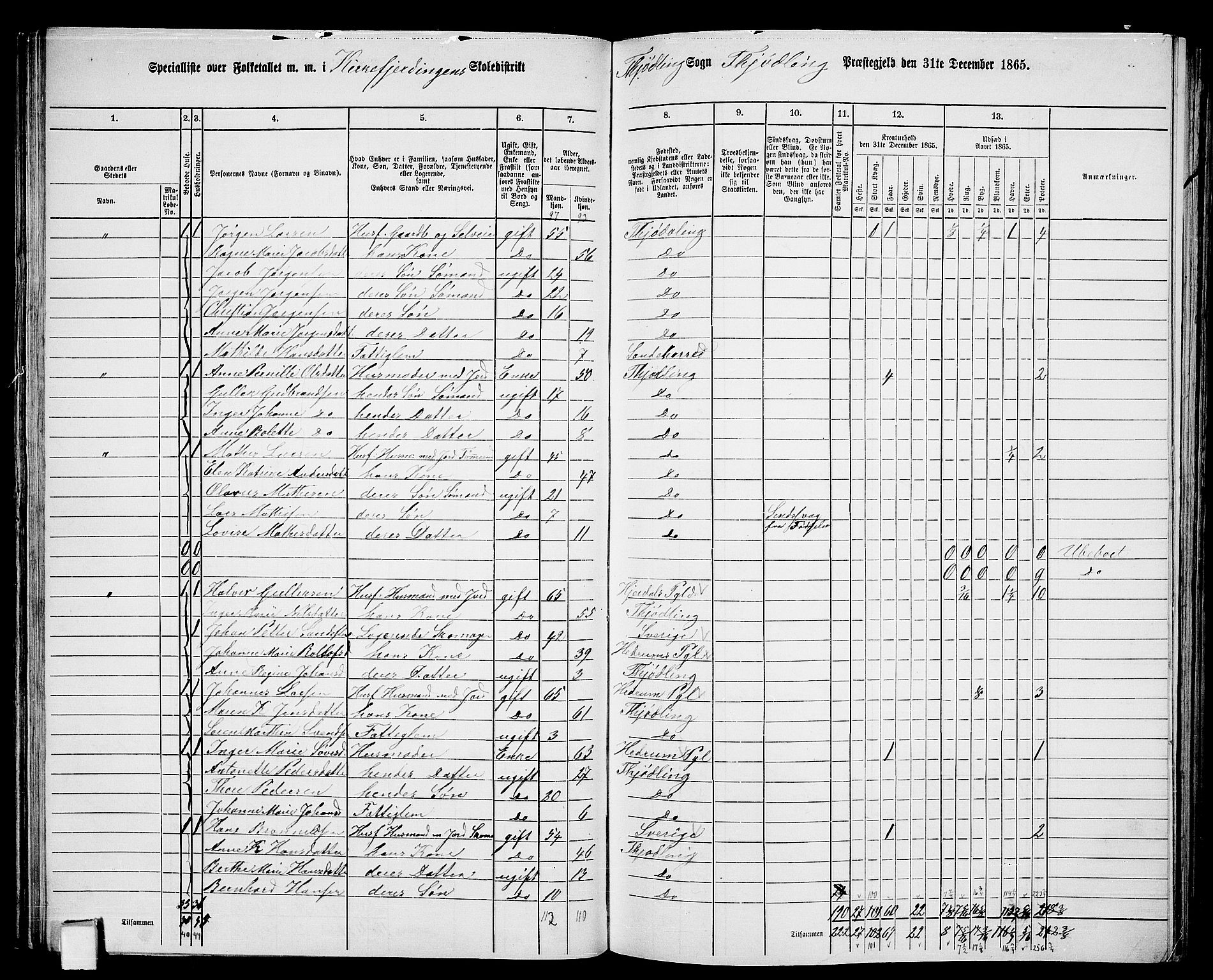 RA, 1865 census for Tjølling, 1865, p. 61