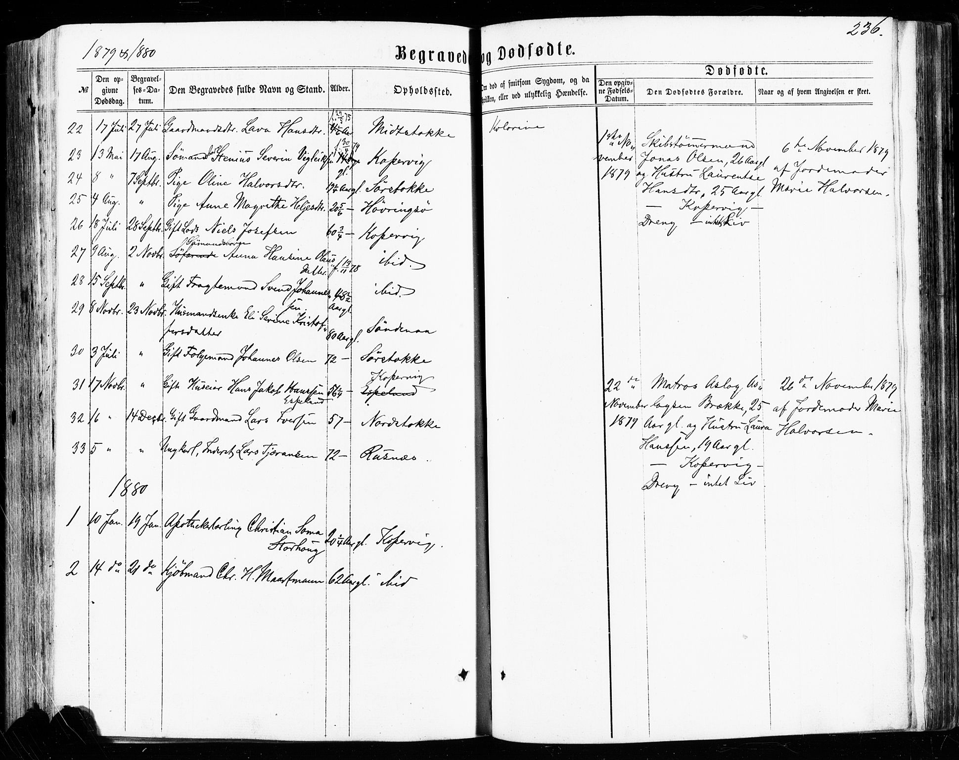 Avaldsnes sokneprestkontor, SAST/A -101851/H/Ha/Haa/L0011: Parish register (official) no. A 11, 1861-1880, p. 236