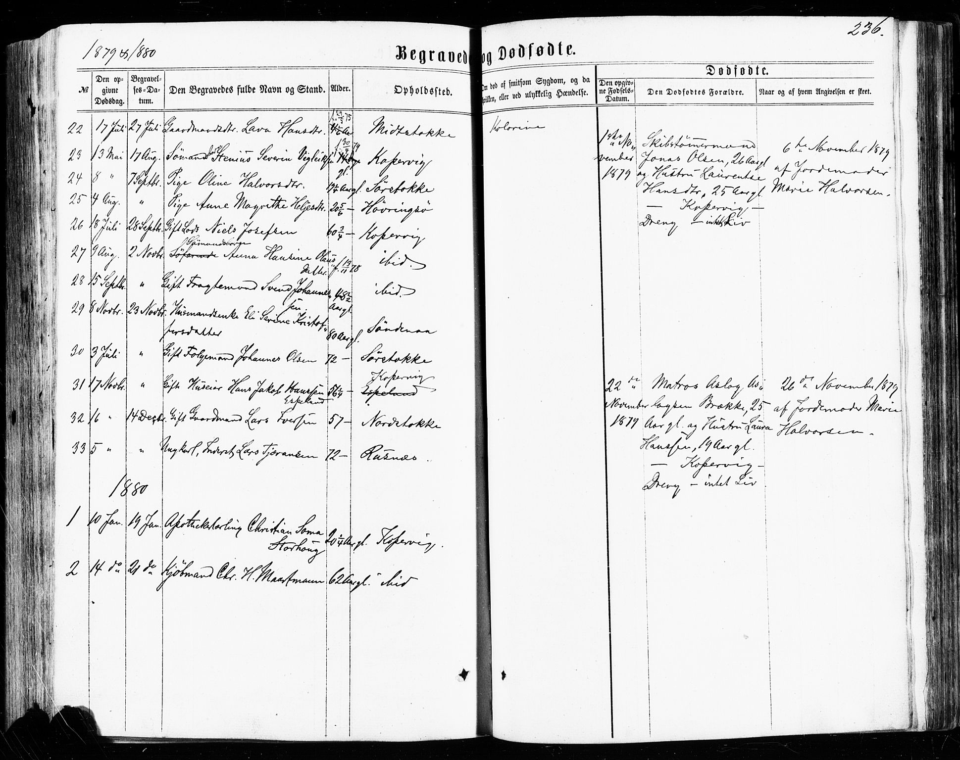 Avaldsnes sokneprestkontor, AV/SAST-A -101851/H/Ha/Haa/L0011: Parish register (official) no. A 11, 1861-1880, p. 236