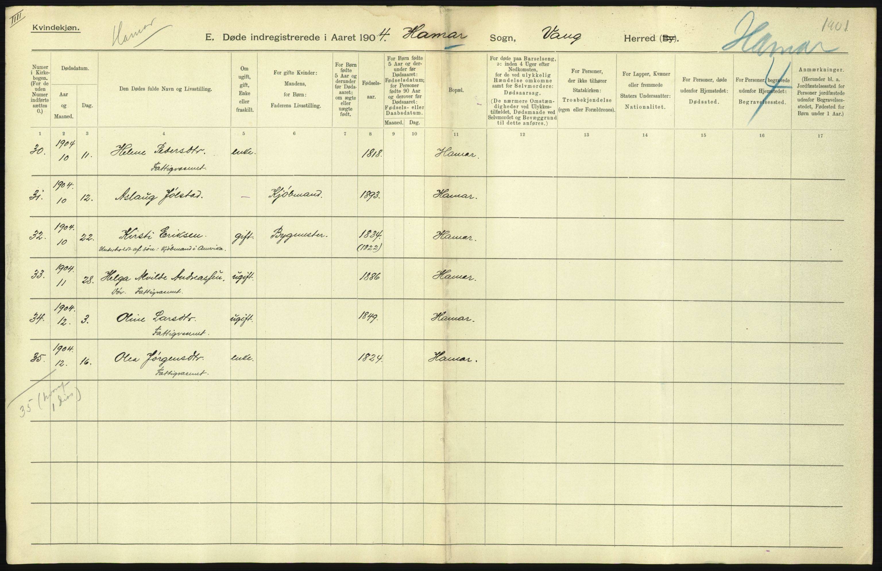 Statistisk sentralbyrå, Sosiodemografiske emner, Befolkning, AV/RA-S-2228/D/Df/Dfa/Dfab/L0005: Hedemarkens amt: Fødte, gifte, døde, 1904, p. 47