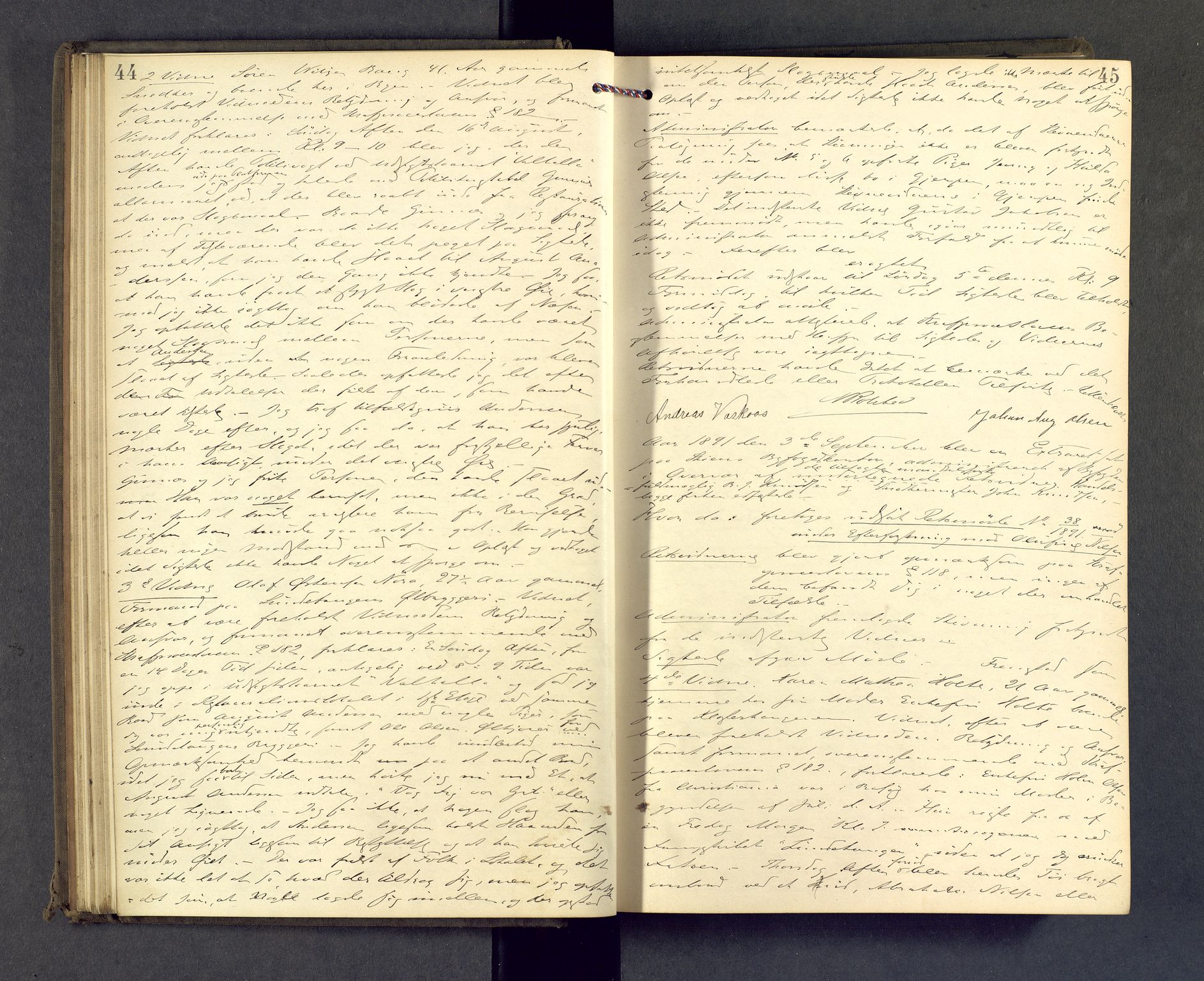 Skien byfogd, AV/SAKO-A-219/F/Fb/L0008: Forhørsprotokoll, 1891-1892, p. 44-45