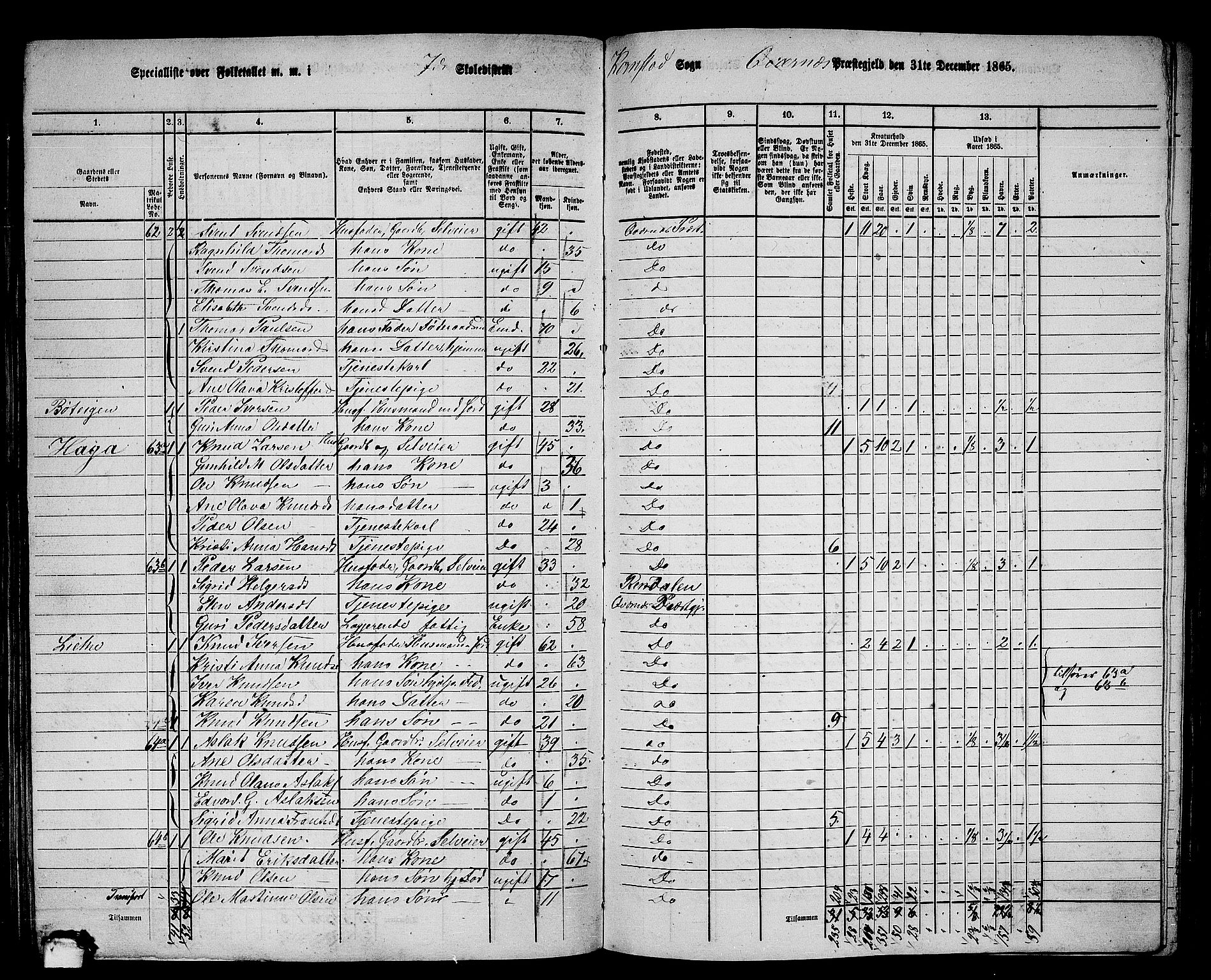 RA, 1865 census for Kvernes, 1865, p. 133