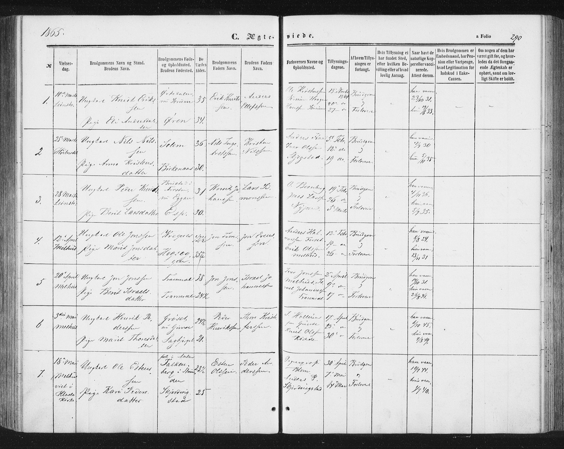 Ministerialprotokoller, klokkerbøker og fødselsregistre - Sør-Trøndelag, SAT/A-1456/691/L1077: Parish register (official) no. 691A09, 1862-1873, p. 290