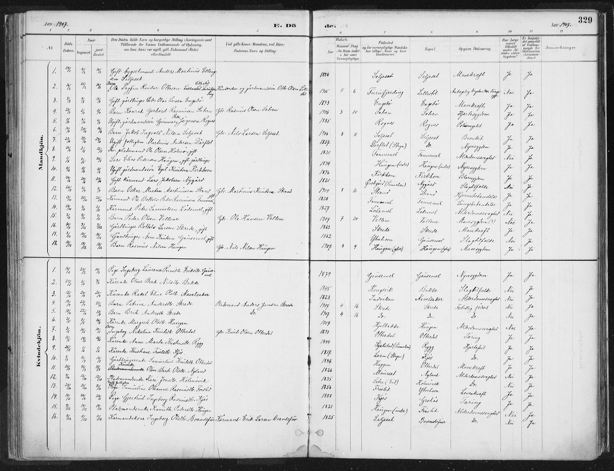 Hornindal sokneprestembete, SAB/A-82401/H/Haa/Haaa/L0003/0002: Parish register (official) no. A 3B, 1885-1917, p. 329