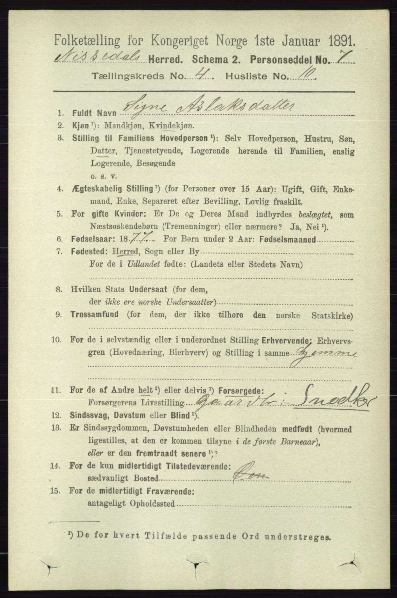 RA, 1891 census for 0830 Nissedal, 1891, p. 918