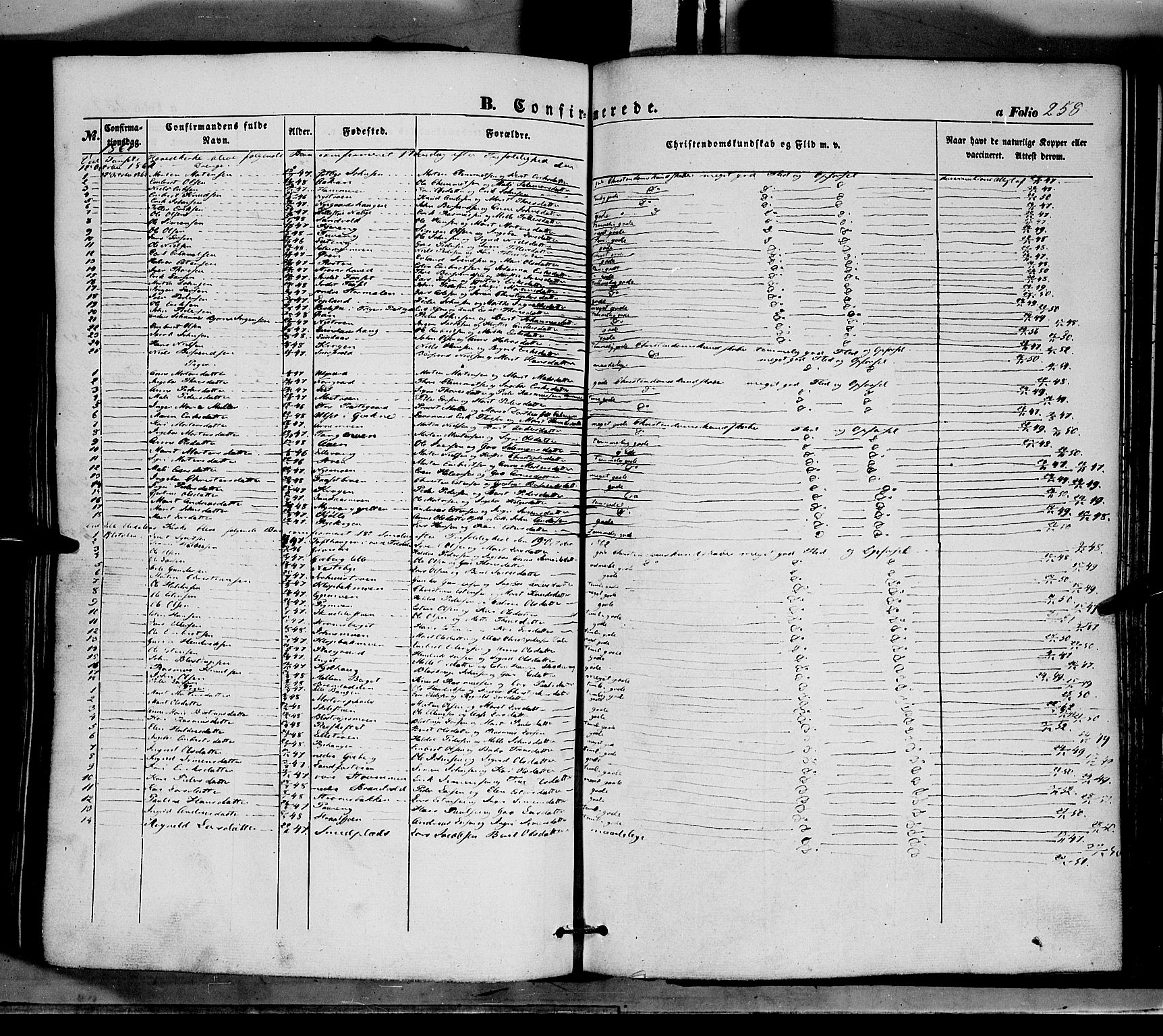 Tynset prestekontor, SAH/PREST-058/H/Ha/Haa/L0020: Parish register (official) no. 20, 1848-1862, p. 258